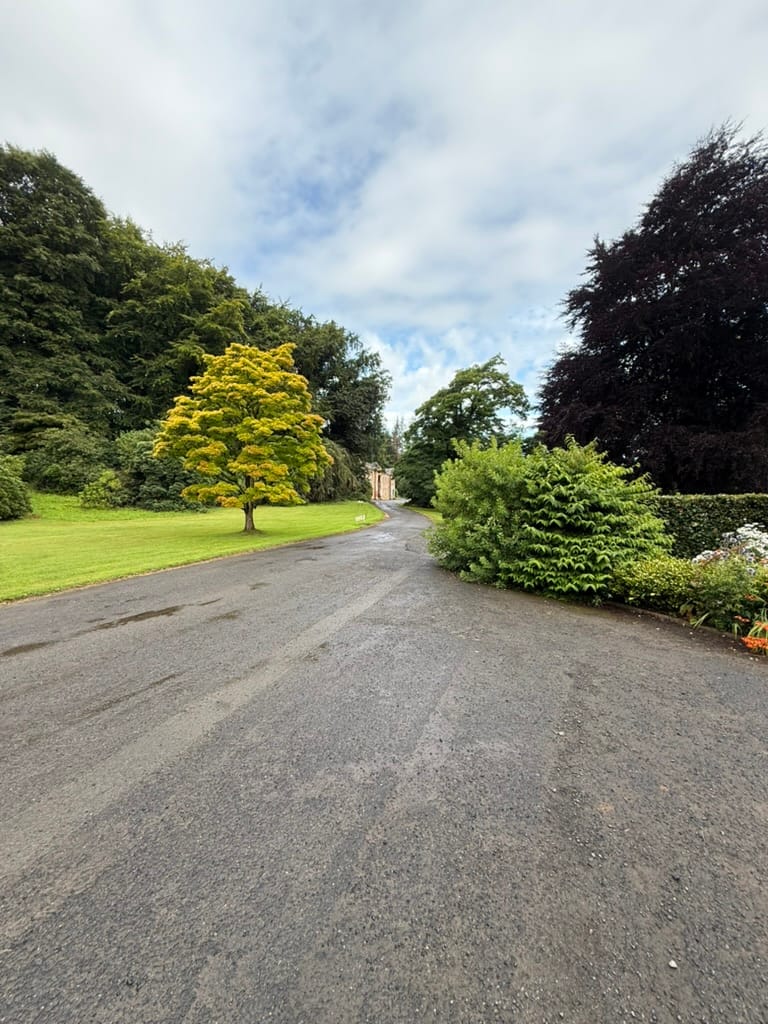 Driveway through the grounds of Warwick Hall.