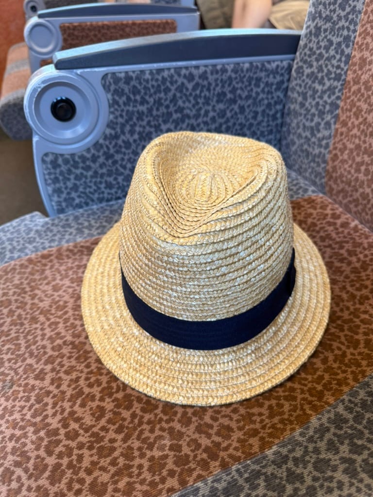 Straw hat with a black band resting on a train seat in Japan, nicknamed “Mr Hat”, enjoying the view from the window during a rail journey.