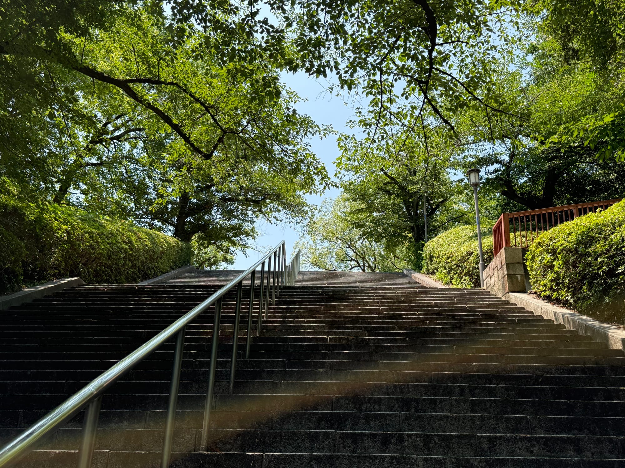 Stone steps leading uphill through Osaka Castle Park from Morinomiya Station, shaded by mature trees with sunlight filtering through the green canopy overhead.