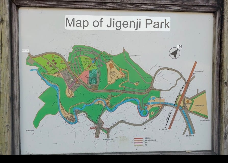 Map of Jigenji Park in Kagoshima, showing walking trails, rivers, bridges, recreation areas and major landmarks, displayed on an outdoor information board.