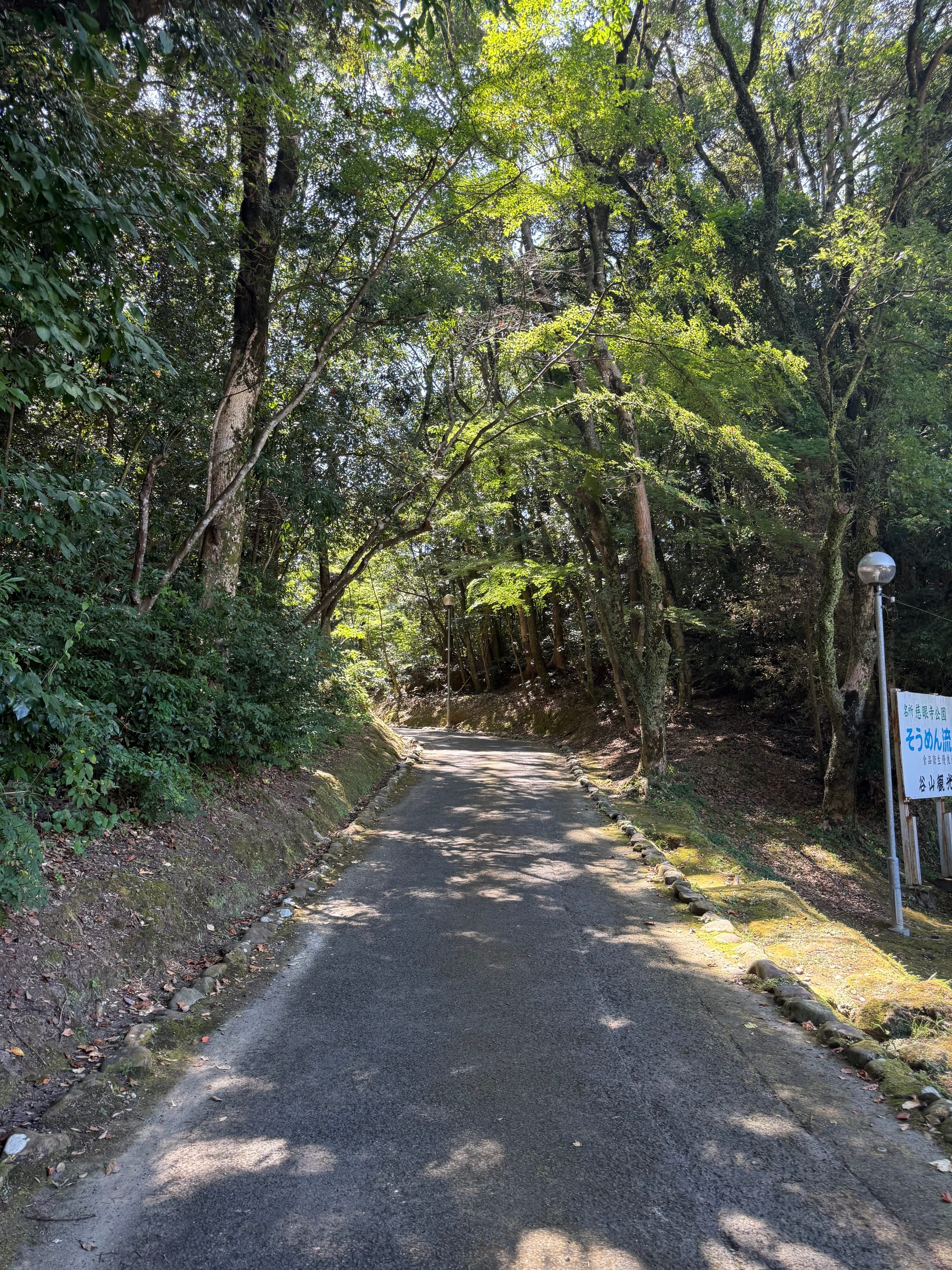 Woodland path through Jigenji Park in Kagoshima, lined with mature trees and dense greenery, with sunlight filtering through the canopy onto the paved walkway.