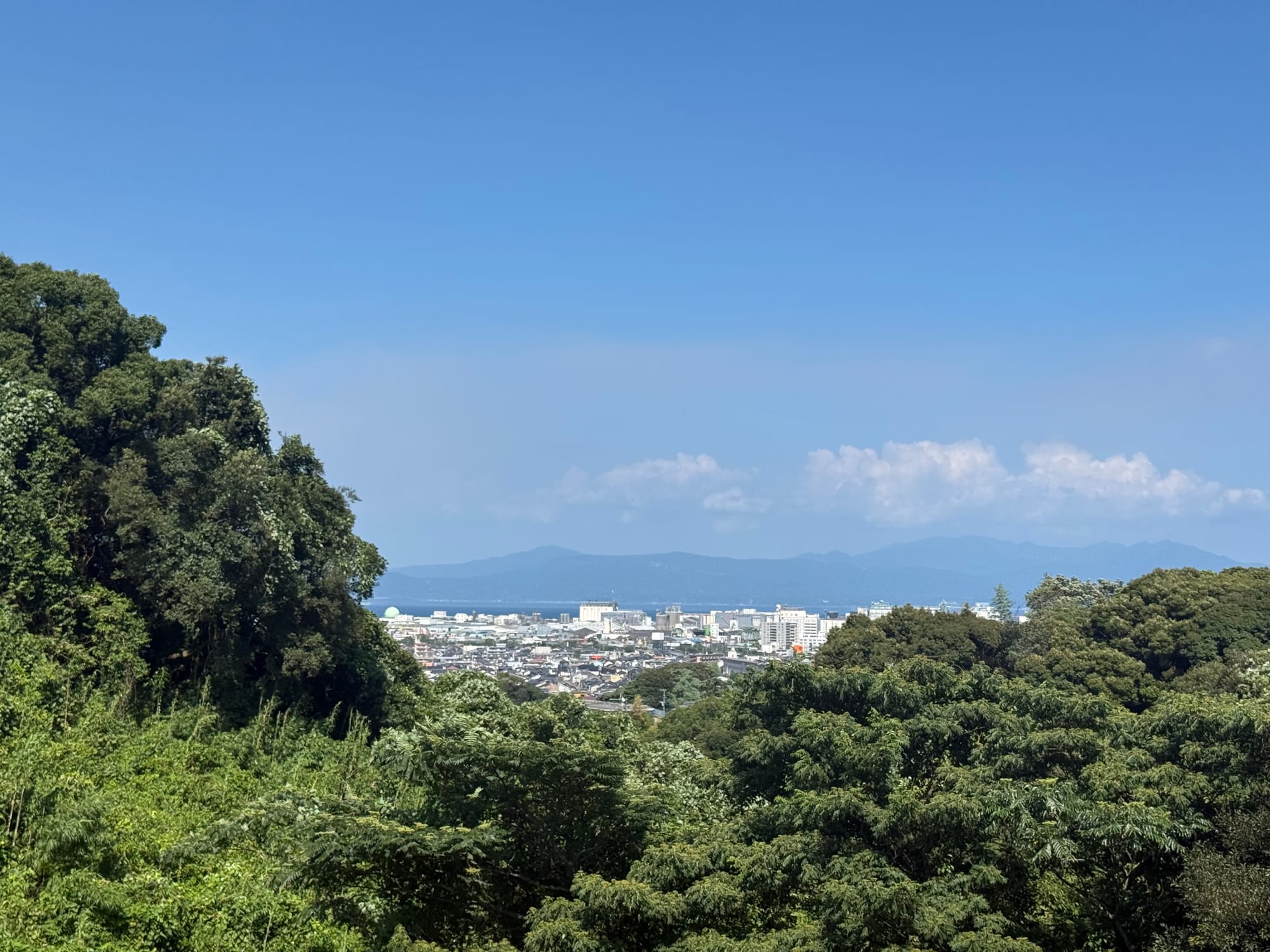 View from Jigenji Park across Kagoshima, with dense green woodland in the foreground, city buildings in the distance and hazy mountains beneath a clear blue sky.