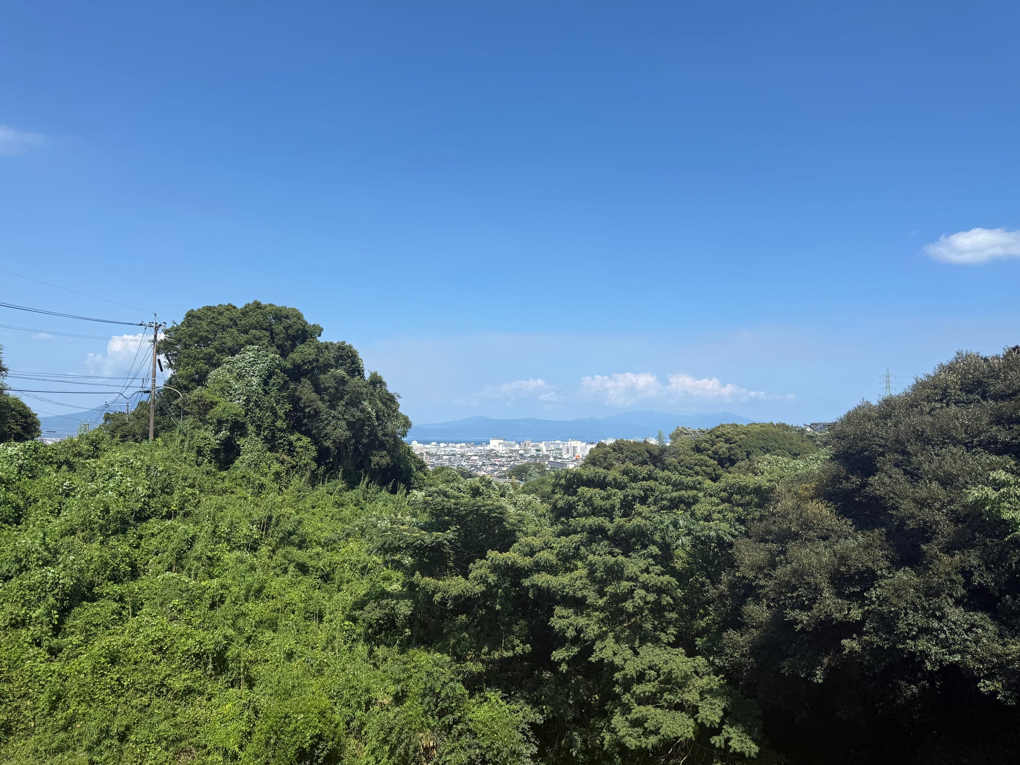 View from Jigenji Park across dense woodland towards Kagoshima, with city buildings visible between the trees and distant mountains beneath a clear summer sky.