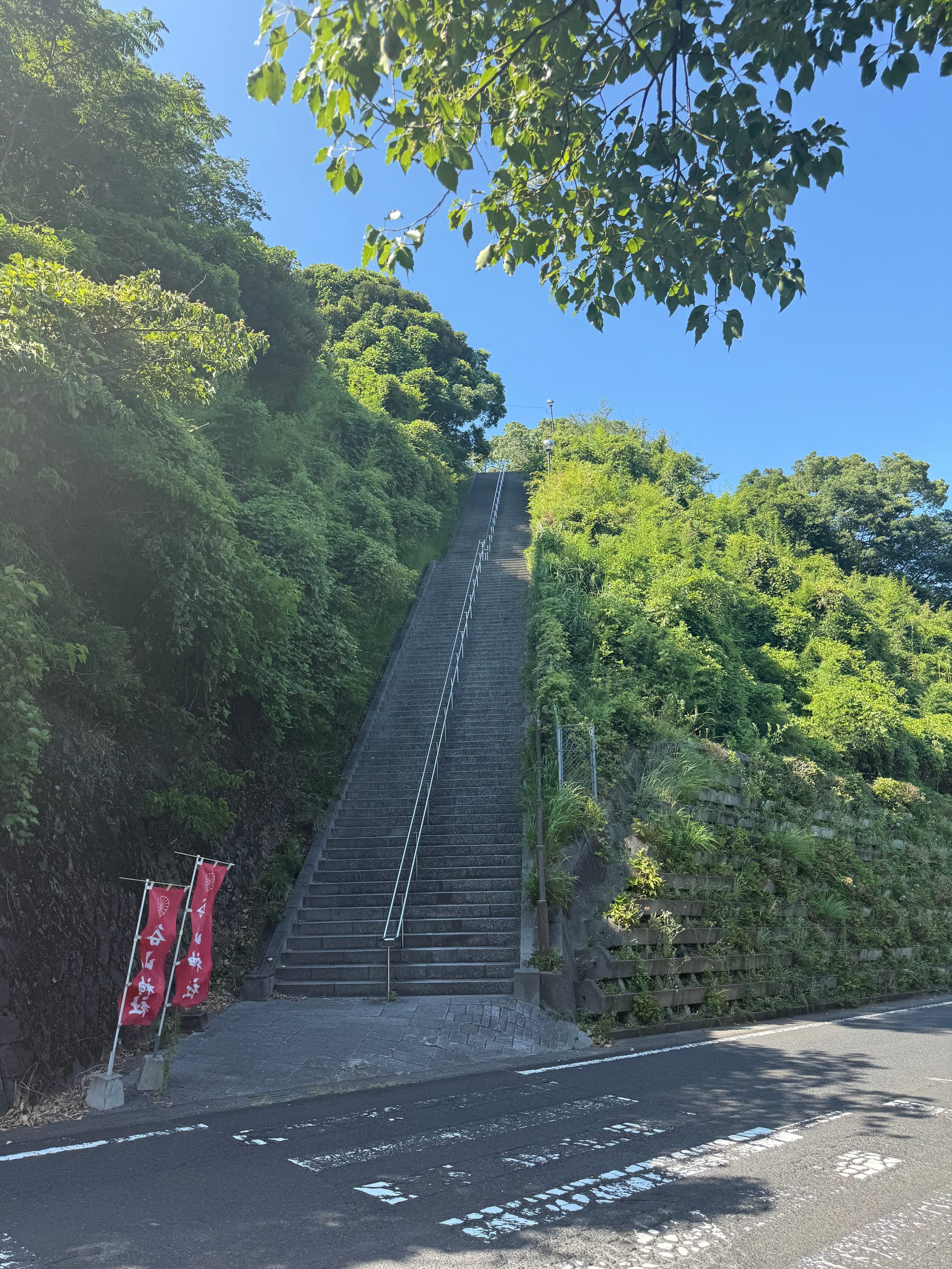 Long concrete staircase climbing a steep hillside near Jigenji Park in Kagoshima, flanked by dense greenery and trees beneath a clear blue summer sky.