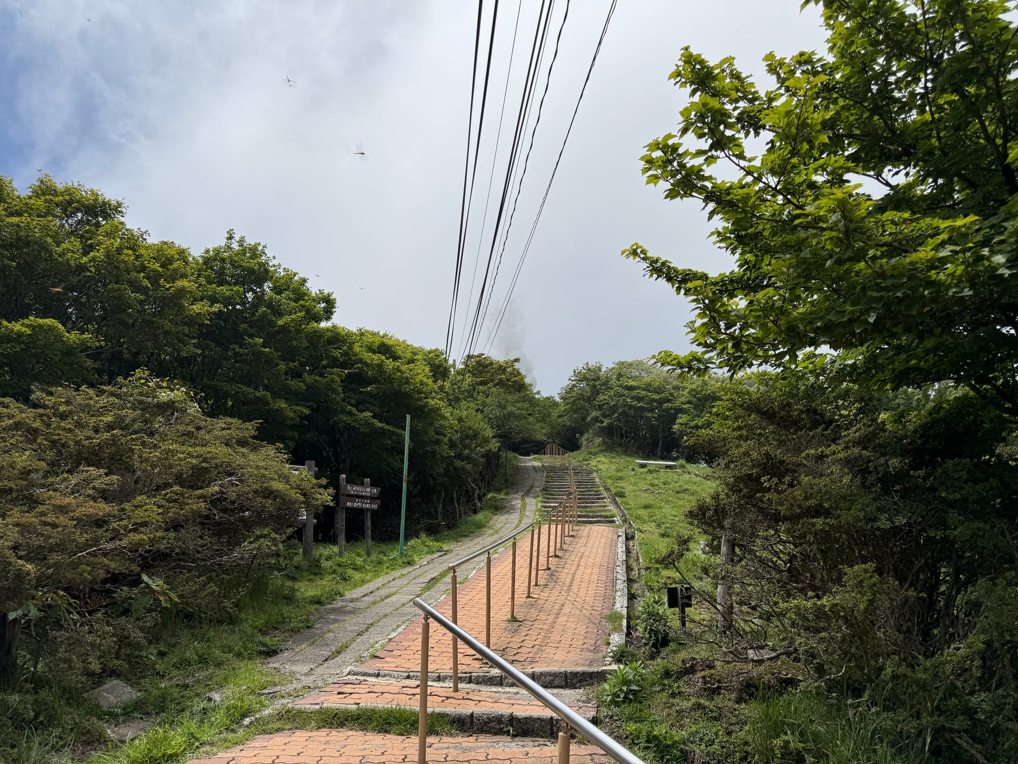 athway and steps near the summit of Mount Tsurumi, lined with trees and shrubs, leading towards viewpoints and shrine sites beneath a bright summer sky.