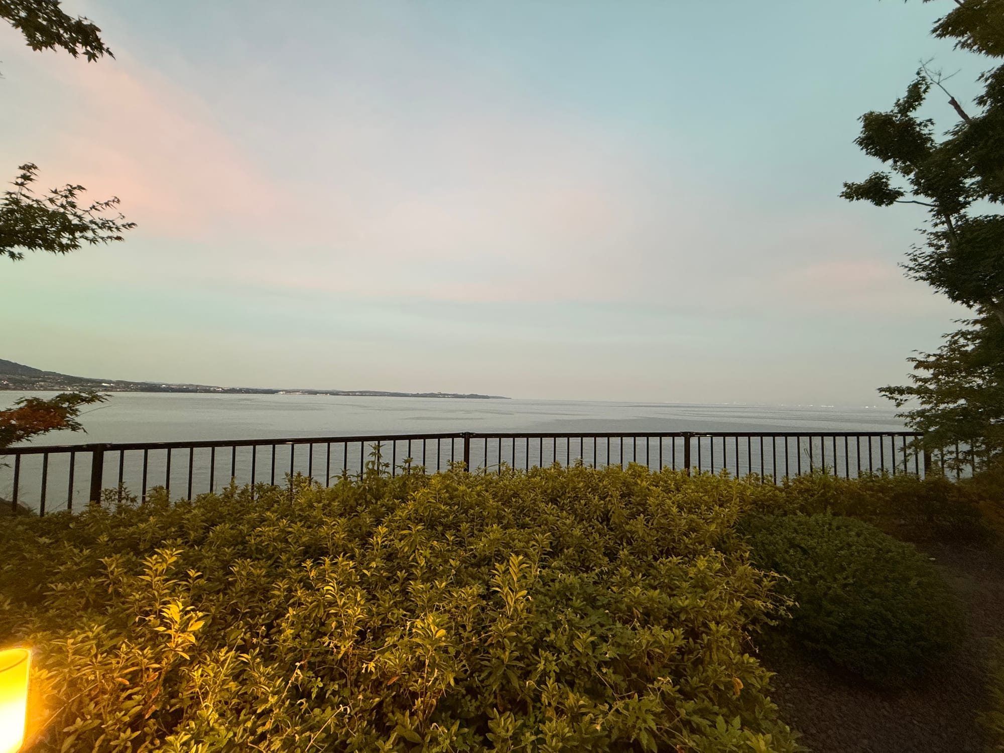 View across Beppu Bay at dusk, with calm water, a distant coastline and soft pink clouds above the horizon, framed by trees and landscaped gardens.
