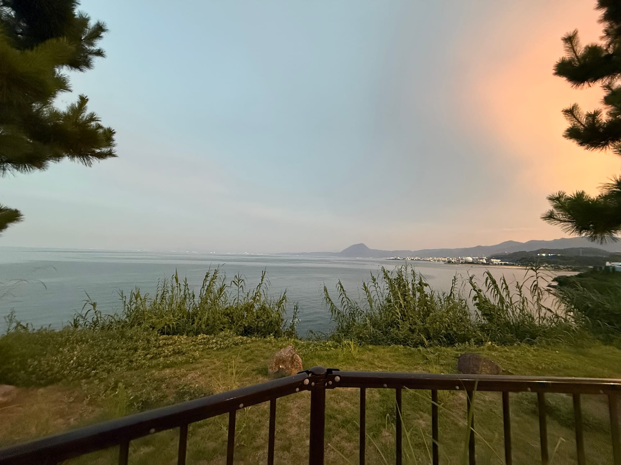 Evening view across Beppu Bay, with calm water, a distant coastline, mountains and soft sunset colours reflected in the sky, framed by trees and a foreground railing.