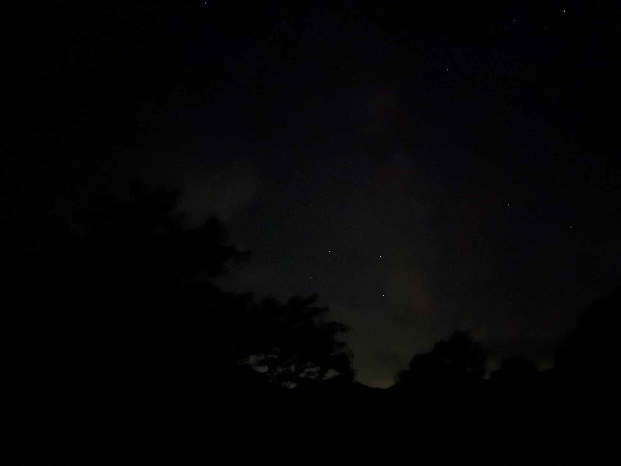 Night sky above silhouetted trees, with stars visible between thin clouds and a faint glow on the horizon in a rural area of northern Japan.