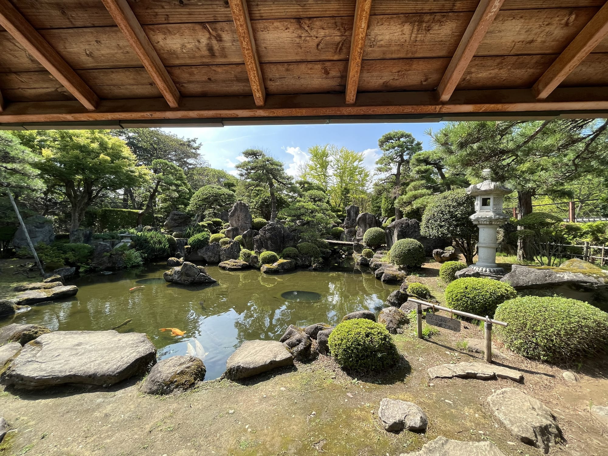 Traditional Japanese garden at Hirosaki Castle featuring a pond, koi carp, stone lantern, sculpted shrubs and rock formations, viewed from beneath a wooden pavilion.