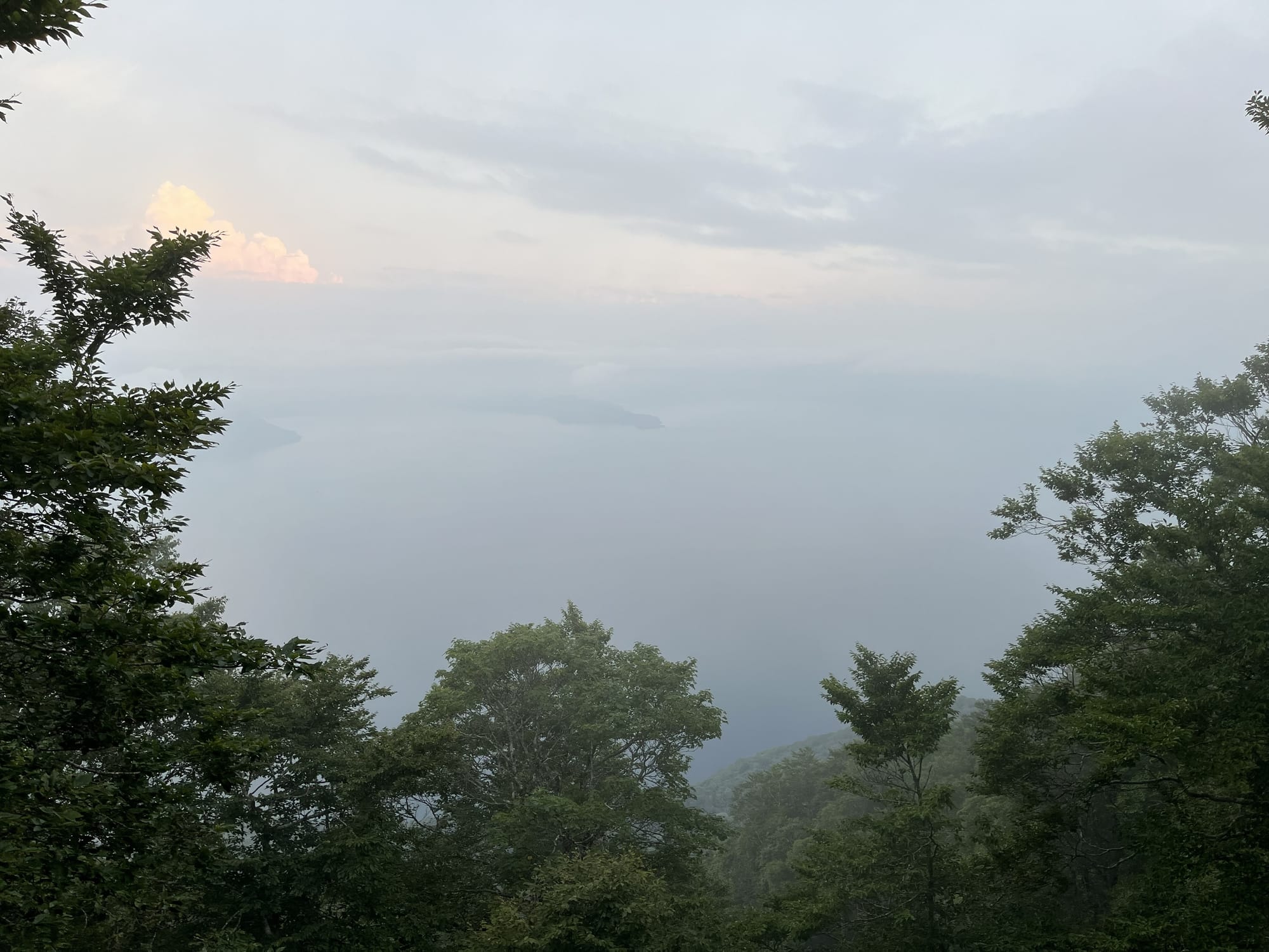 View over Lake Towada from a forested hillside, with the calm waters of the caldera lake stretching into the distance beneath misty clouds and fading evening light.