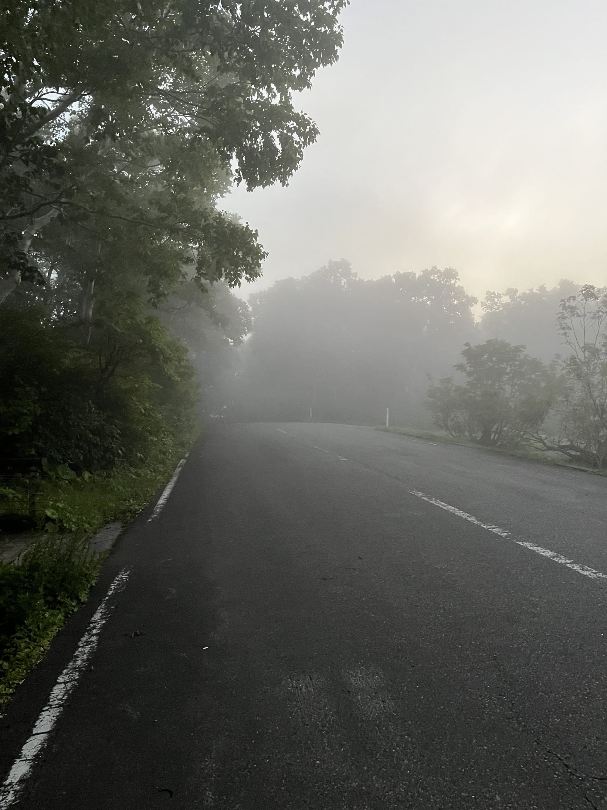 Quiet forest road disappearing into thick evening mist near Lake Towada, with damp asphalt, dense trees and fading daylight creating an atmospheric mountain landscape.
