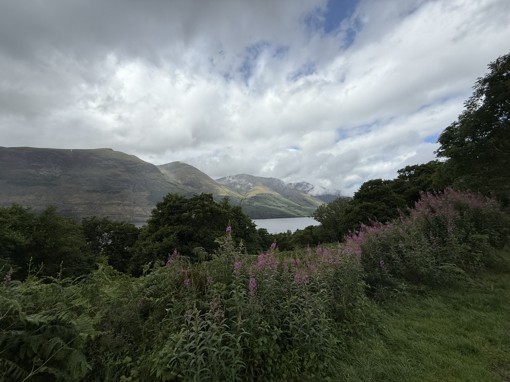 Purple rosebay willowherb beside a loch with mountains in the background.