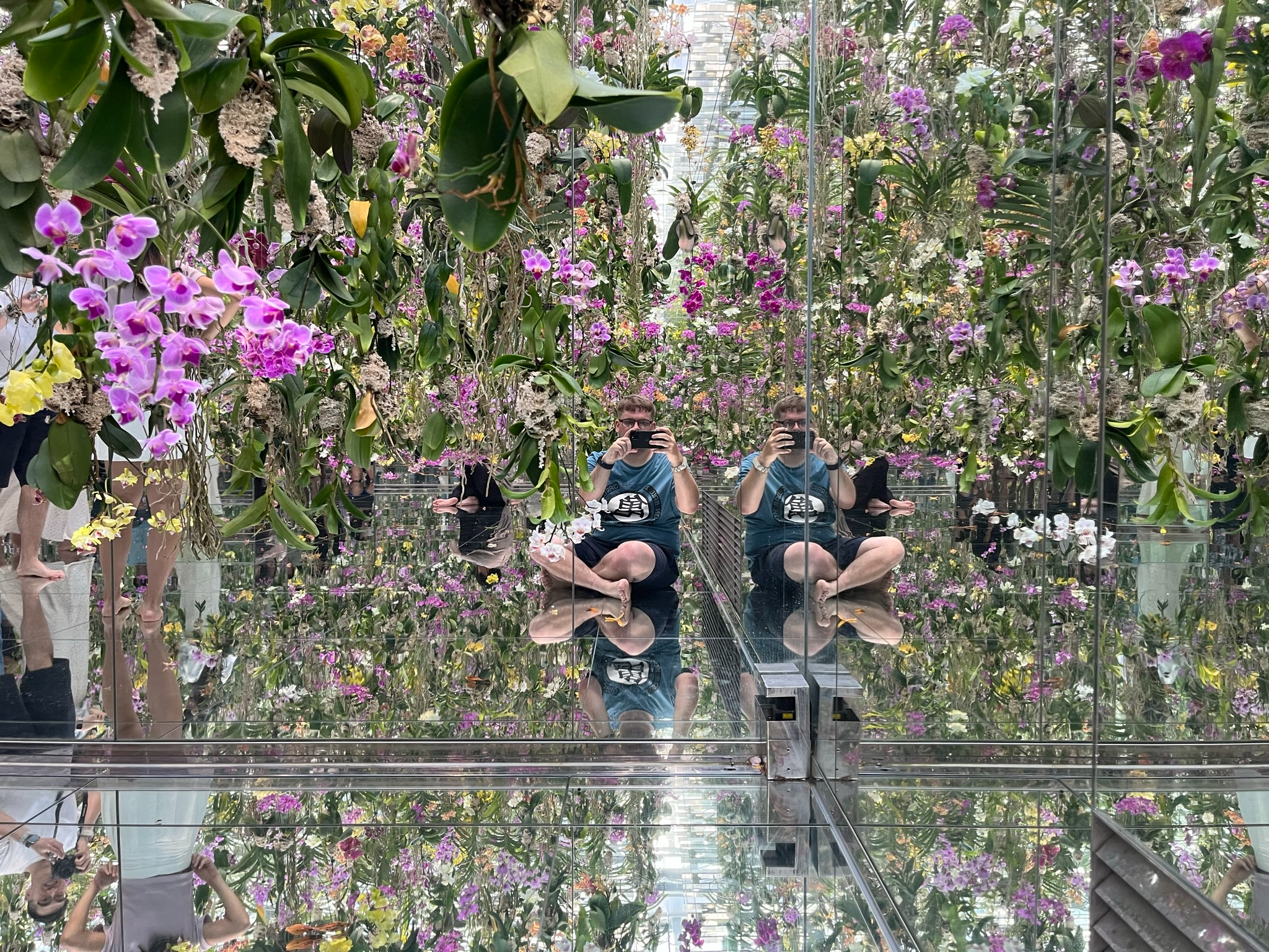 Floating Flower Garden: Flowers and I are of the Same Root, the Garden and I are One immerses visitors within a living landscape of suspended orchids and seasonal blooms, where thousands of flowers rise and fall around the viewer, dissolving the boundary between person and artwork at TeamLab Planets Tokyo.