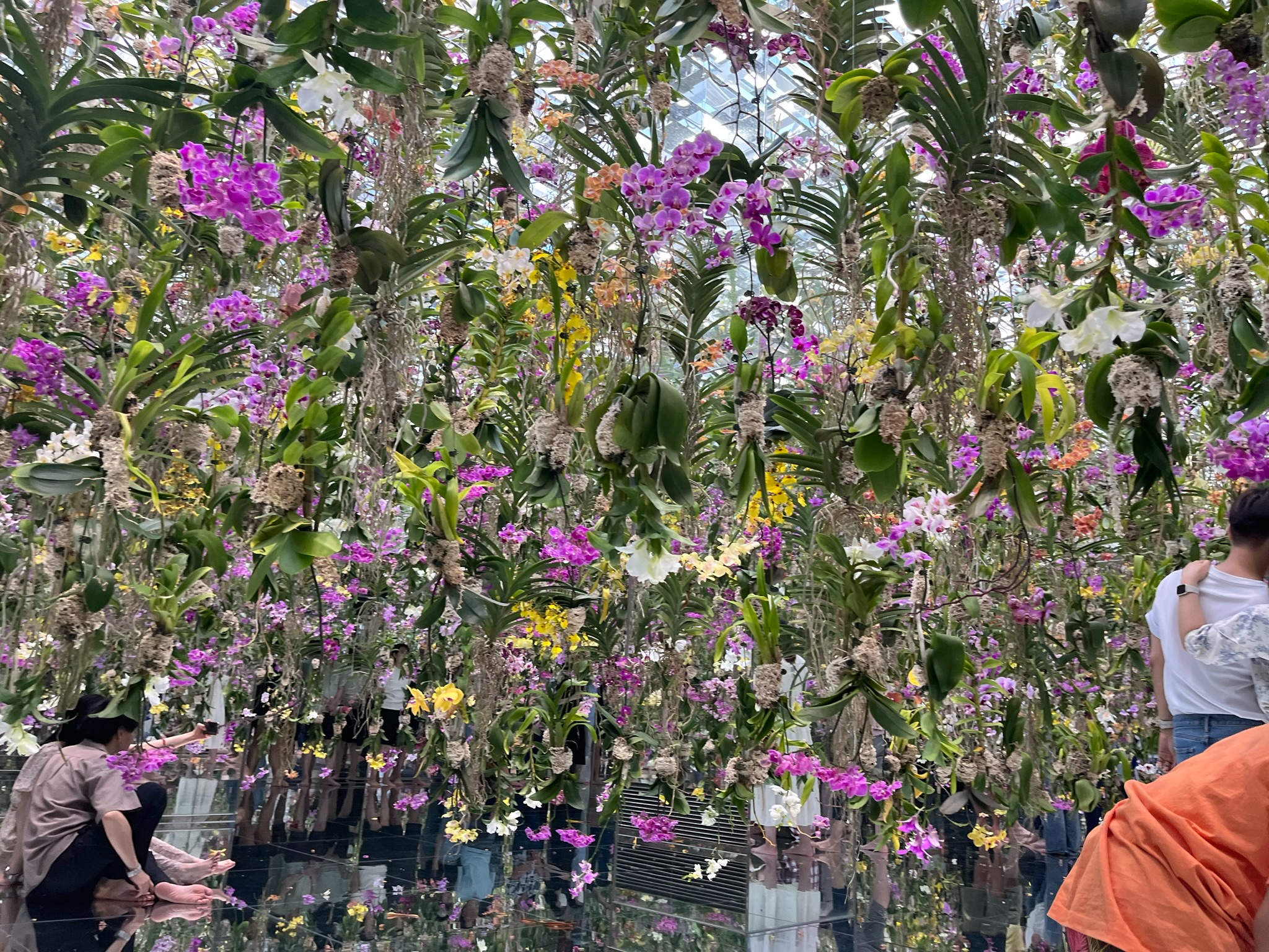 Thousands of suspended orchids and colourful flowers fill TeamLab Planets Tokyo's Floating Flower Garden, creating an immersive living artwork reflected in mirrored floors below.