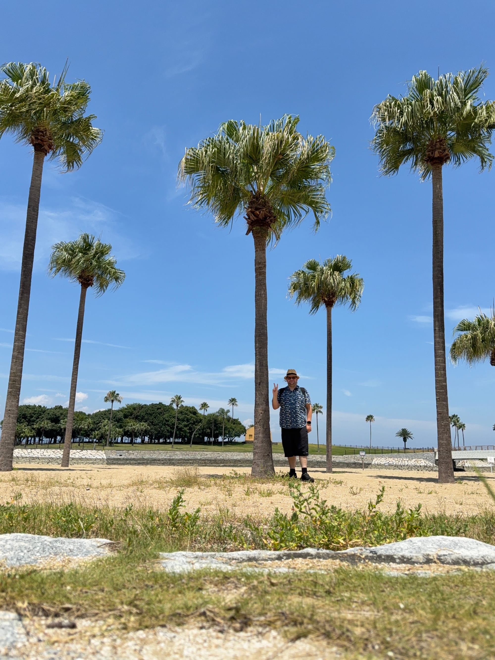 Visitor standing on Tamoura Beach in Beppu, making a peace sign among tall palm trees, with sandy shores, blue skies and Beppu Bay visible in the distance.