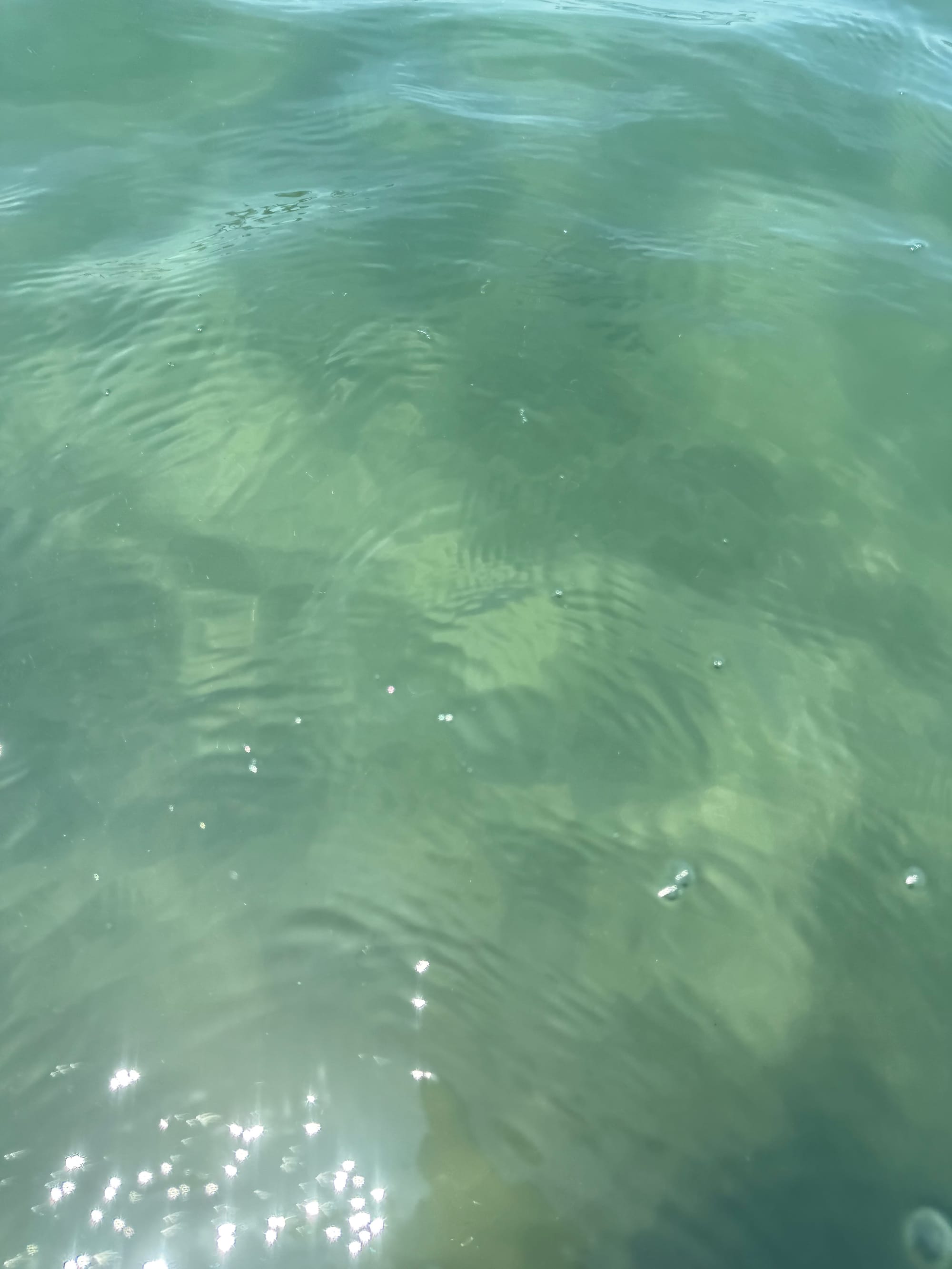 Clear seawater at Tamoura Beach in Beppu, with sunlight reflecting on gentle ripples and the sandy seabed visible beneath the surface through the shallow water.