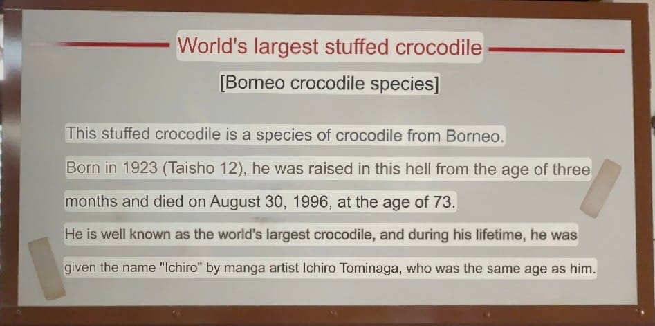 Information display at Oniyama Jigoku describing Ichirō, a Borneo crocodile exhibited at the site and recognised as the world's largest stuffed crocodile after its death.