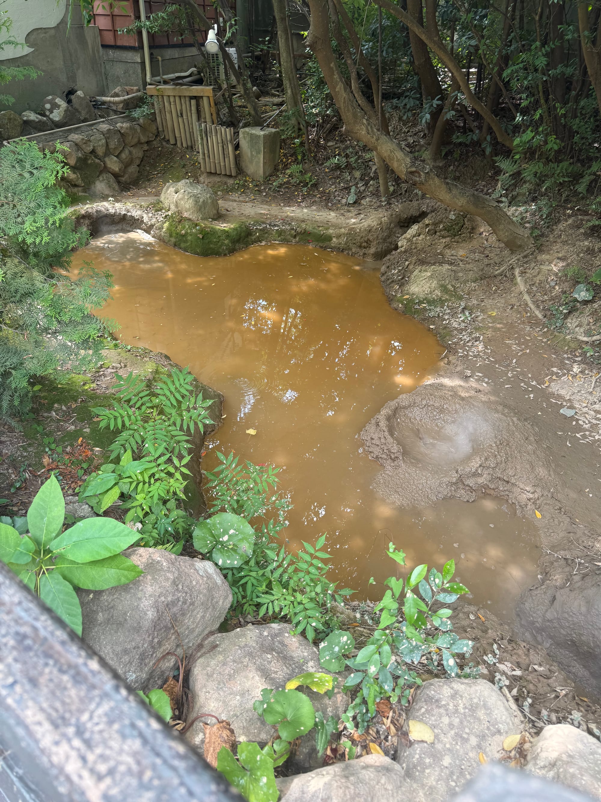 Mud-coloured geothermal pond at Kamado Jigoku in Beppu, with bubbles of hot mineral-rich mud rising to the surface beneath trees and surrounding vegetation.