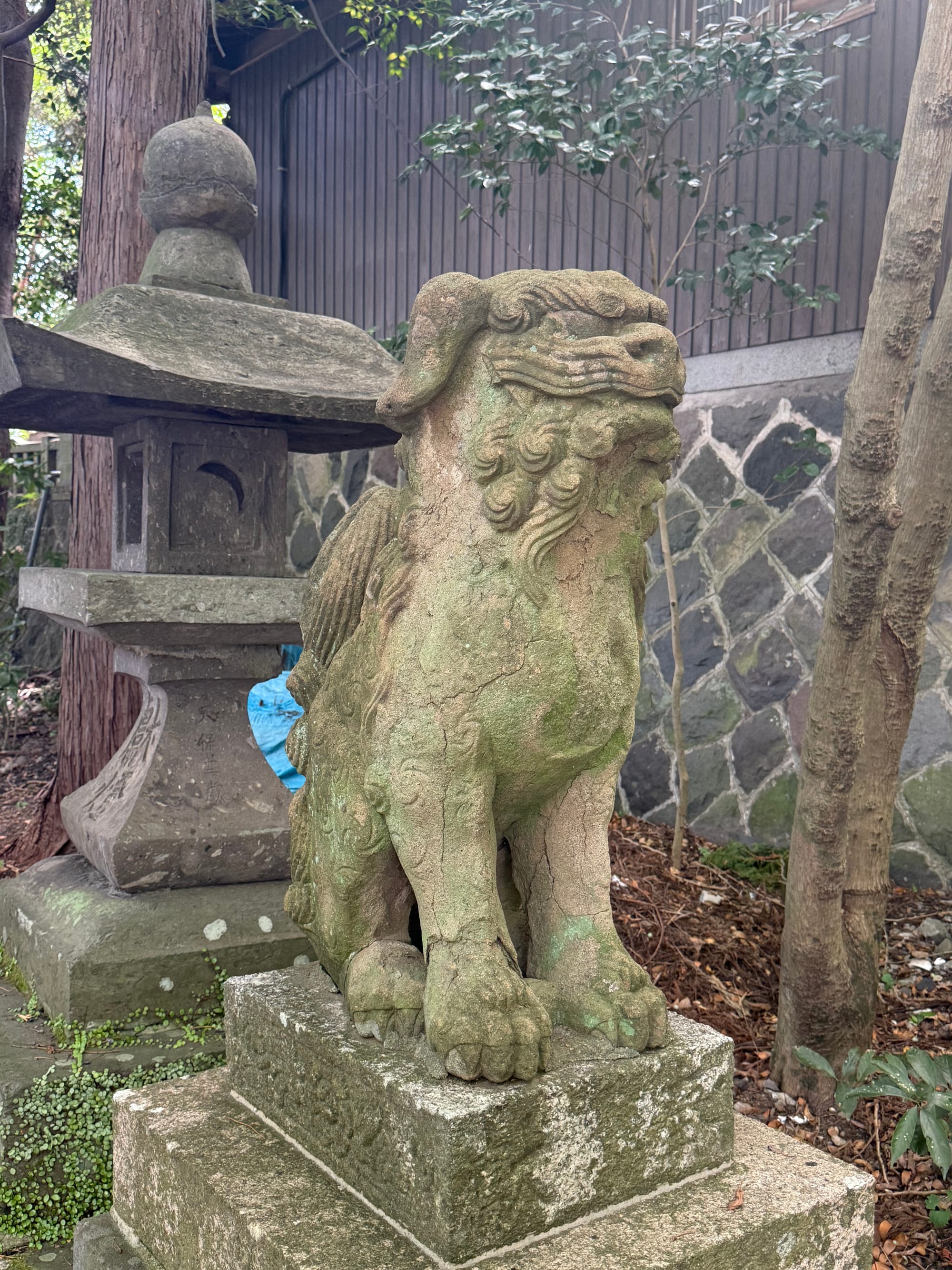 Stone komainu guardian statue at Hachiman Asami Shrine in Beppu, standing beside a traditional stone lantern beneath mature trees within the shrine grounds.