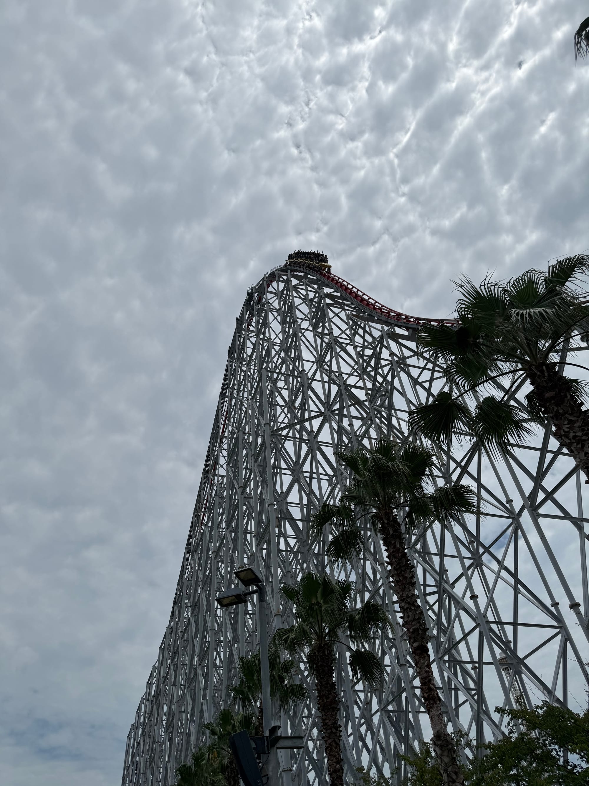 Steel Dragon 2000 at Nagashima Spa Land, with a train cresting the towering first drop above palm trees beneath dramatic textured clouds and a vast steel support structure.