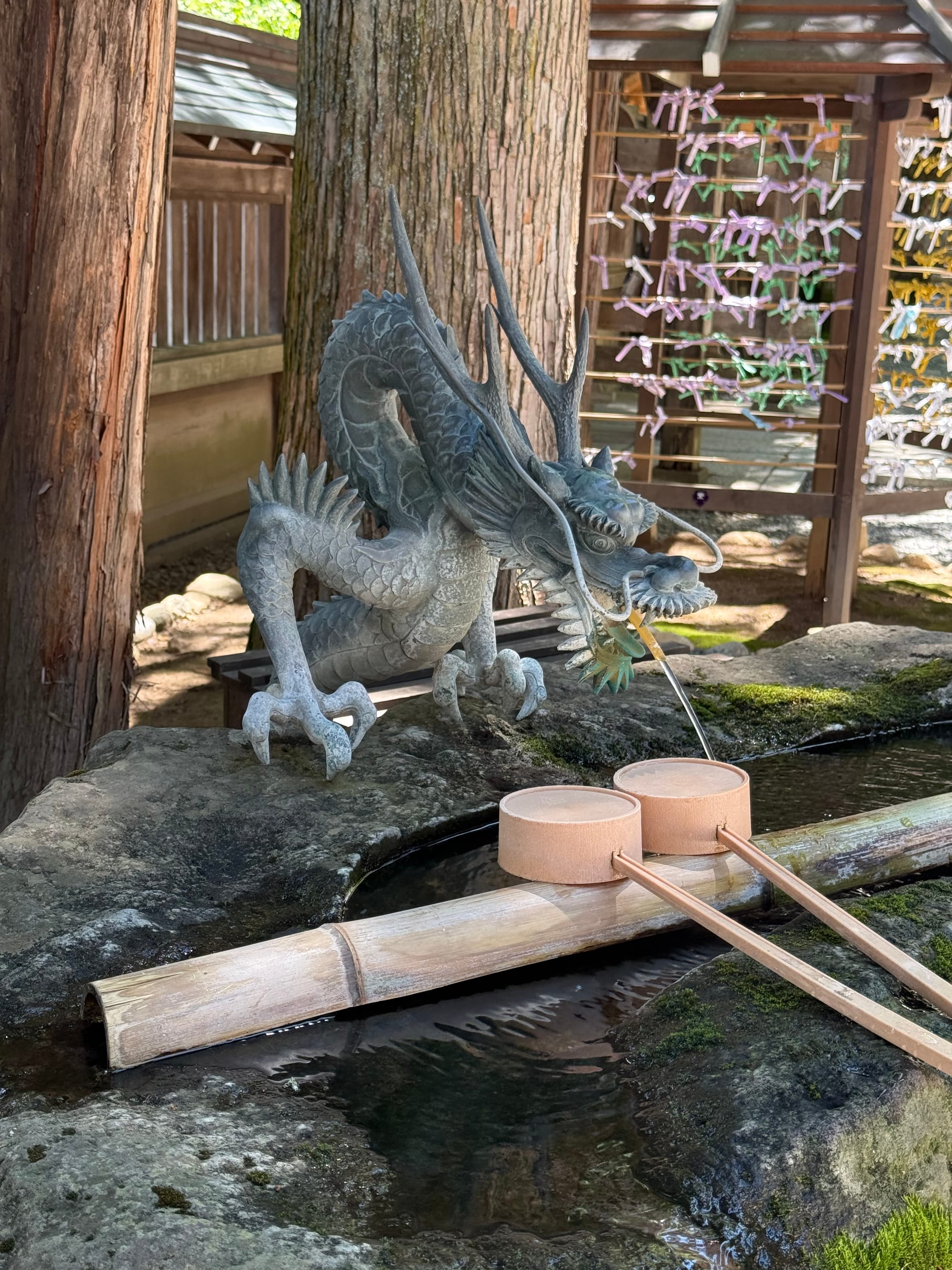 Dragon-shaped purification fountain at Suwa Taisha Kamisha Honmiya, with water flowing from the dragon's mouth into a stone basin beside wooden ladles and shrine buildings.