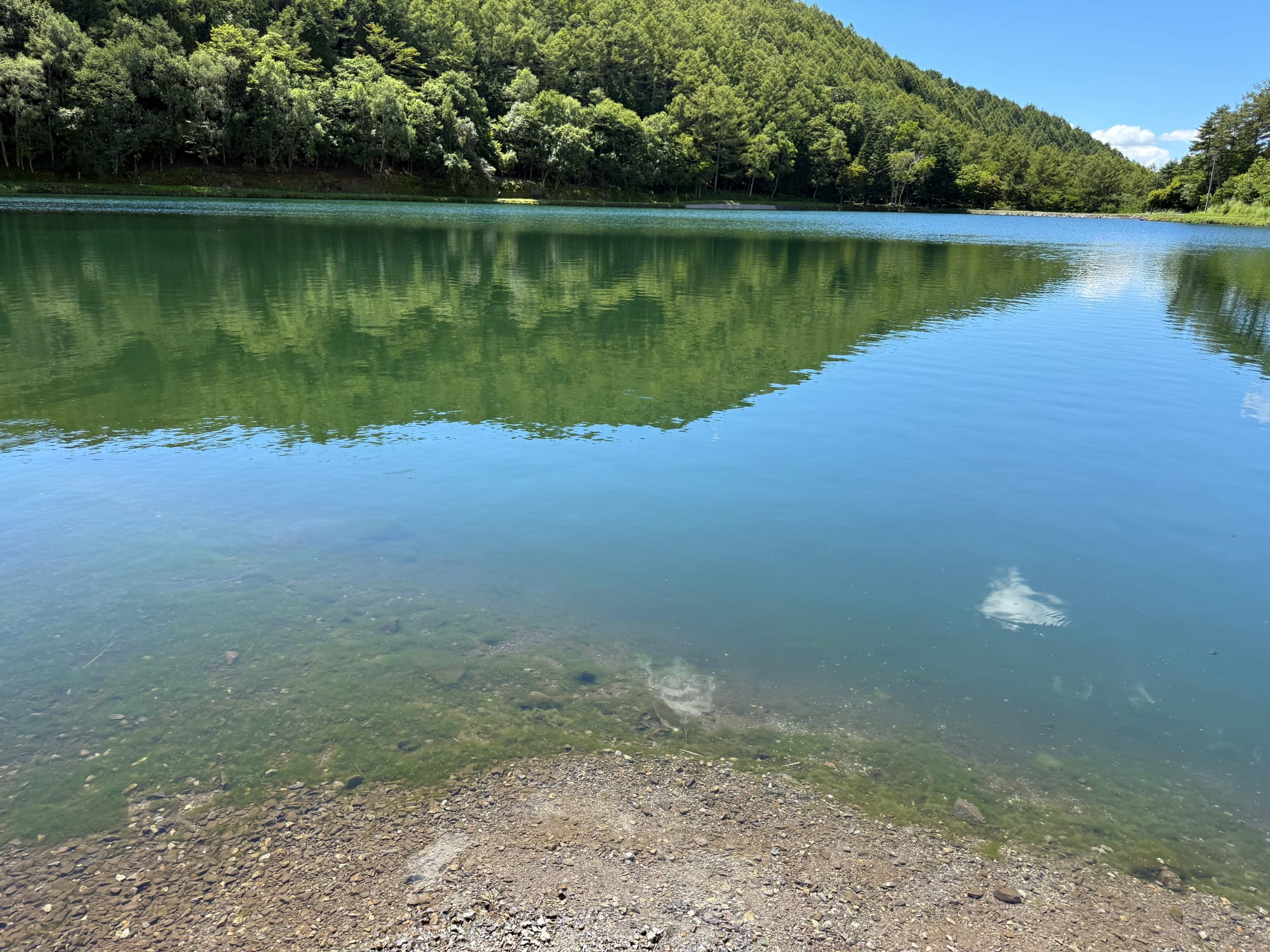 Shoreline of Tatenoumi Pond in Seinoumi Park, with clear water reflecting forested hills and summer clouds, viewed from the pebbled edge of the pond.
