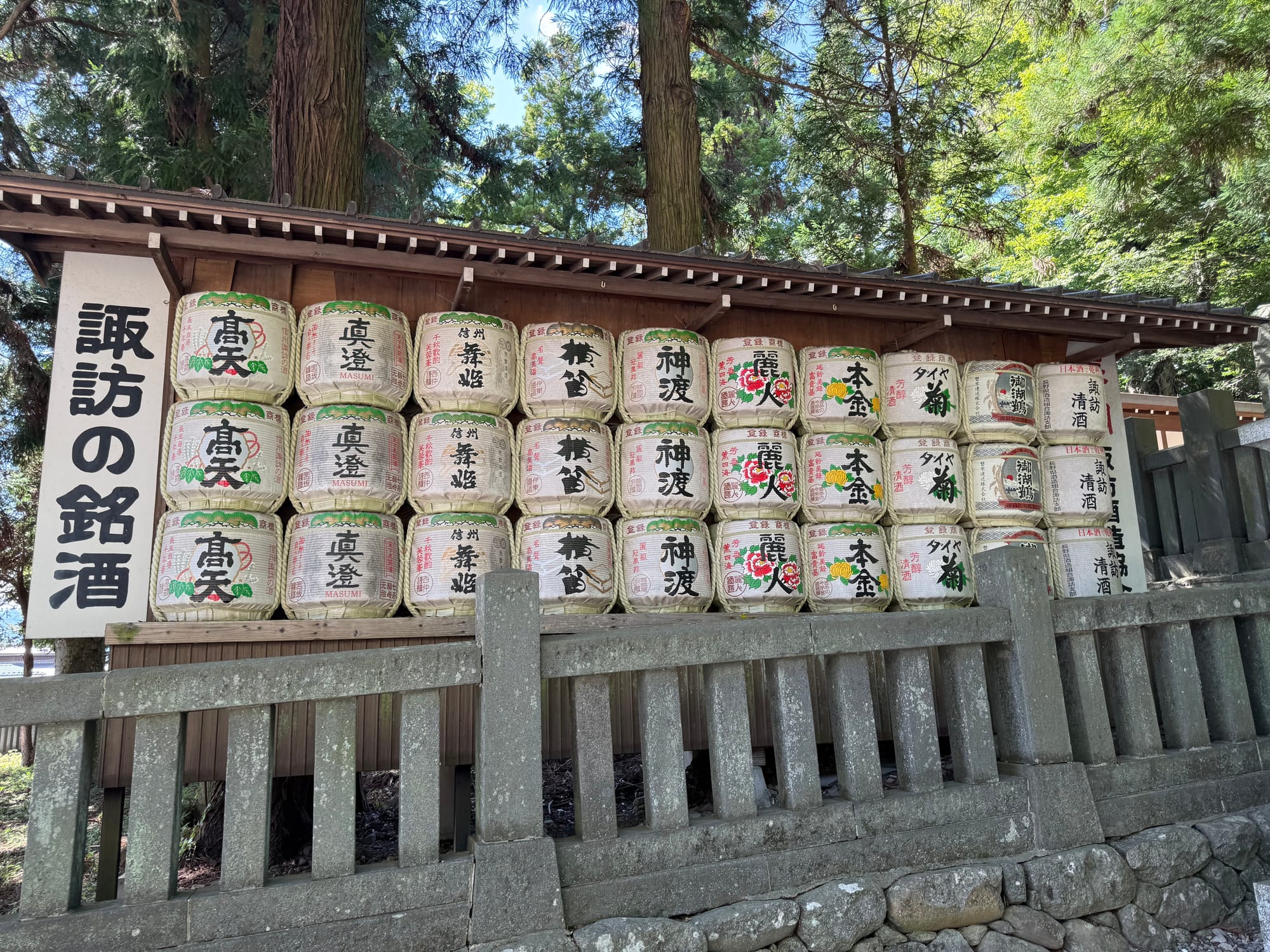 Display of ceremonial sake barrels at Suwa Taisha Shimosha Harumiya, featuring offerings from regional breweries arranged beneath towering cedar trees within the shrine grounds.