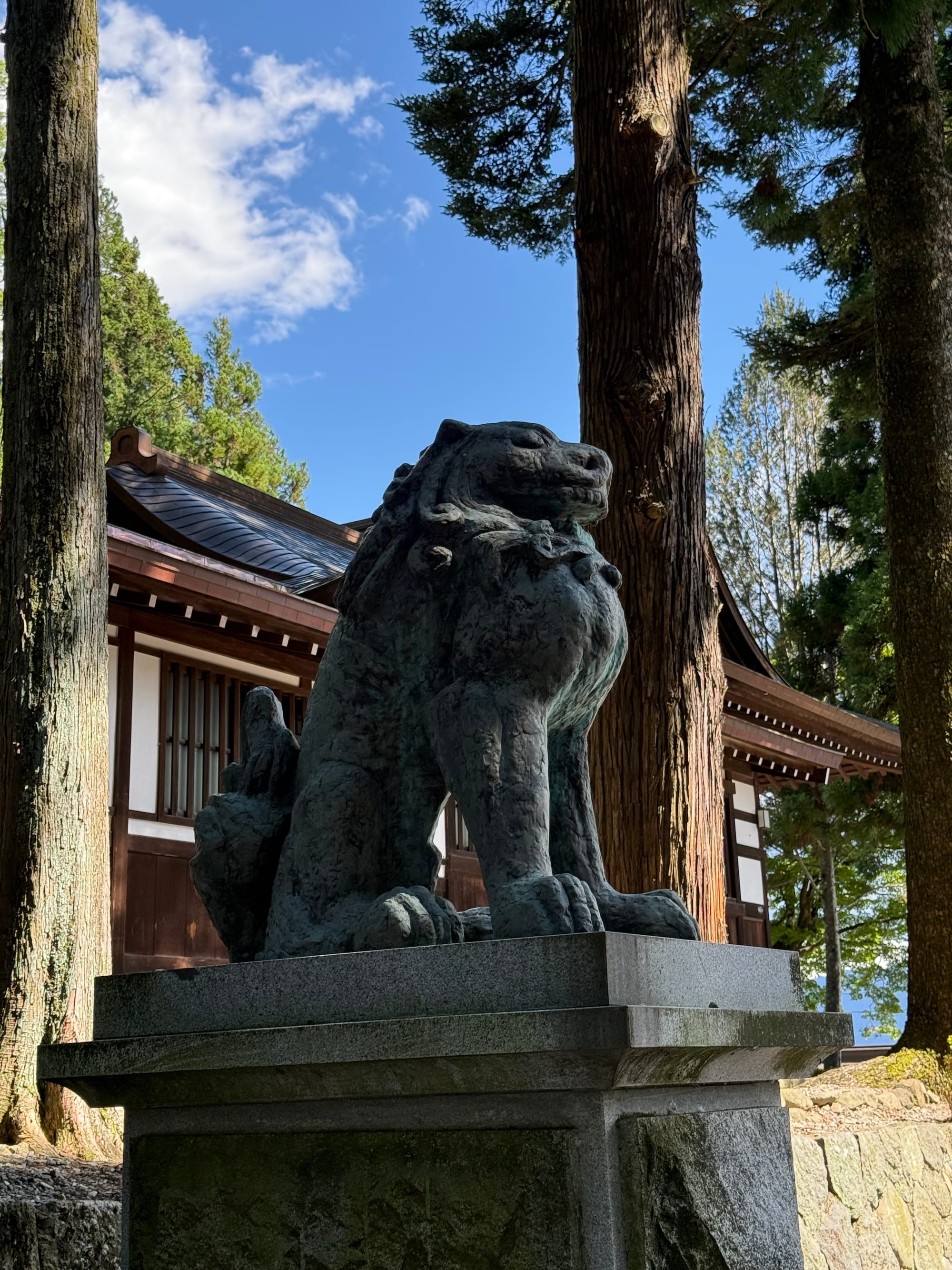 Bronze komainu guardian statue at Suwa Taisha Shimosha Harumiya, standing on a stone pedestal beside shrine buildings and towering cedar trees within the shrine grounds.