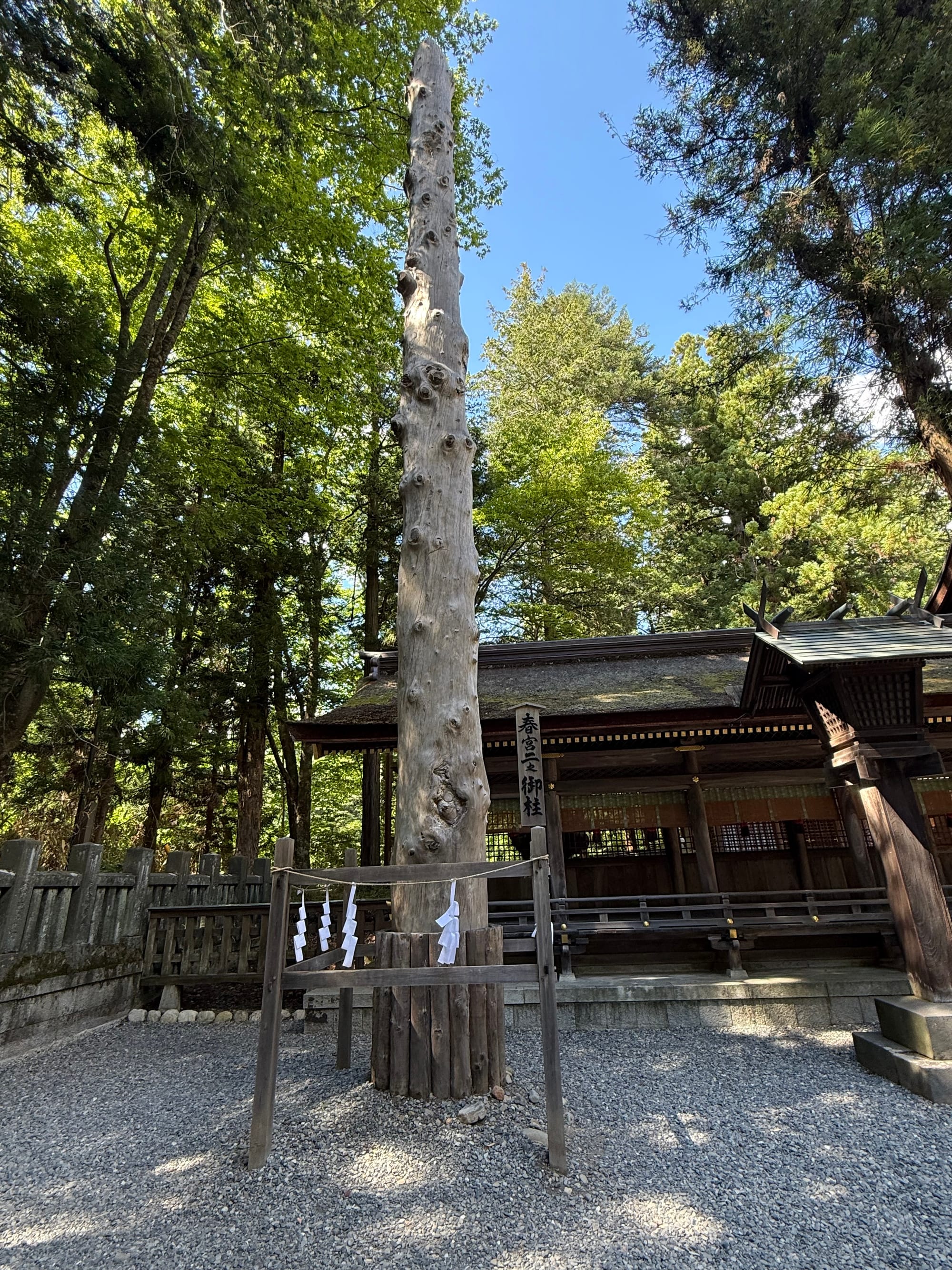 Sacred wooden pillar (Onbashira) at Suwa Taisha Shimosha Harumiya, standing beside a shrine building and enclosed by a simple barrier within the shrine grounds.