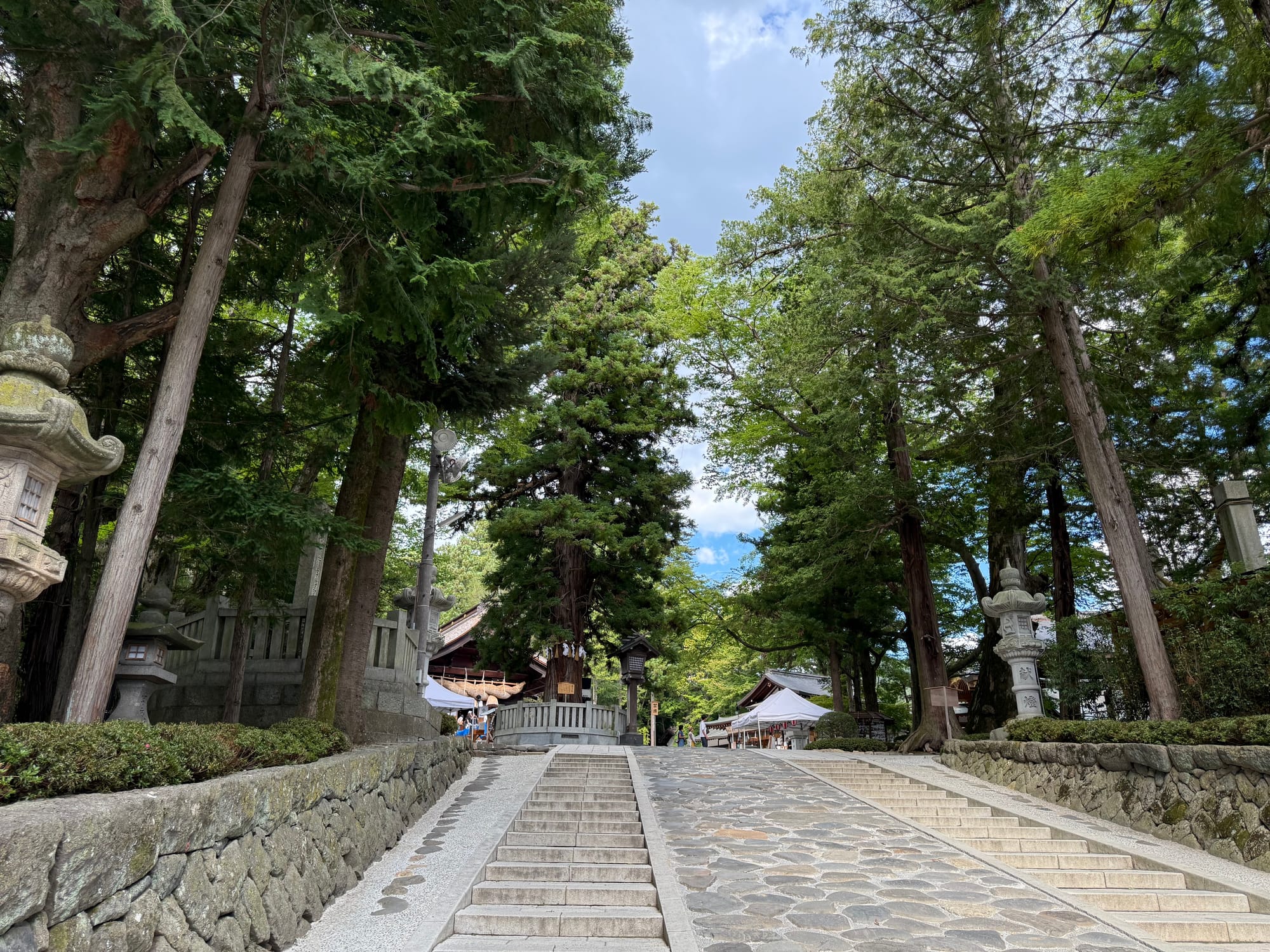 Stone steps and cobbled approach leading into Suwa Taisha Shimosha Akimiya, lined with stone lanterns and towering cedar trees within the shrine grounds.