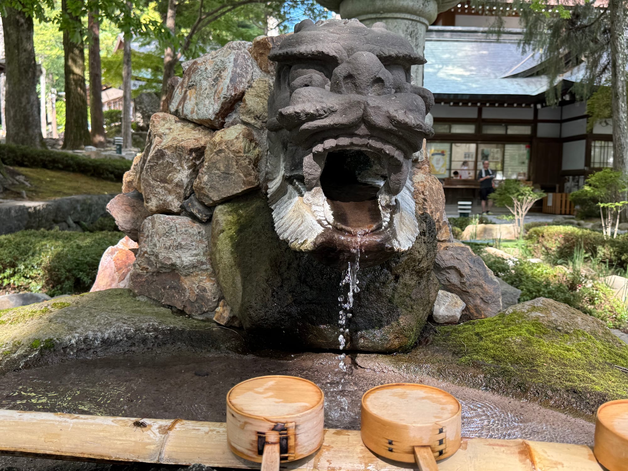Lion-shaped purification fountain at Suwa Taisha Shimosha Akimiya, with water flowing from the stone sculpture into a basin lined with bamboo rails and wooden ladles.