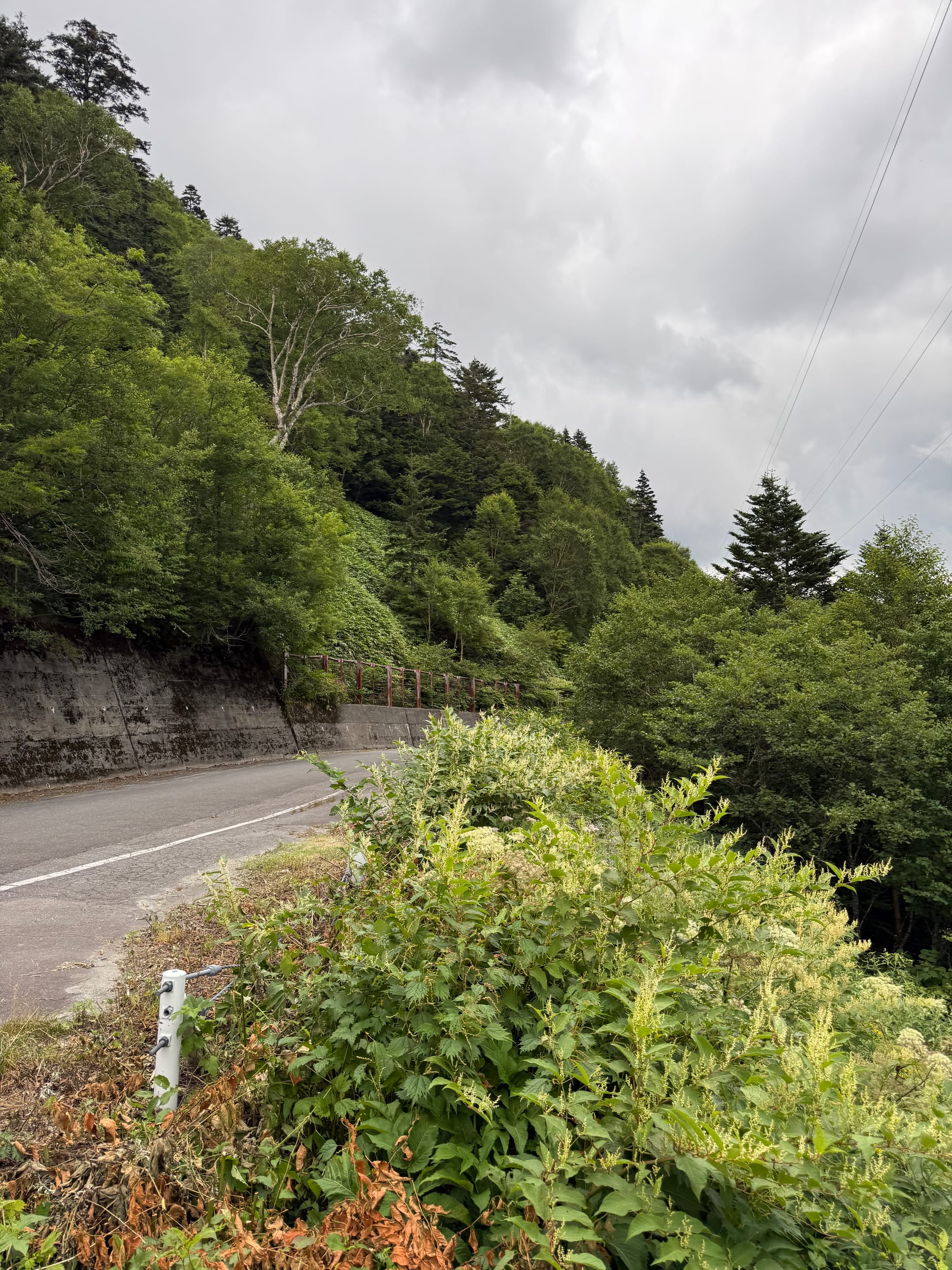 Mountain road crossing Abo Pass in the Northern Japan Alps, bordered by dense forest and roadside vegetation beneath dark storm clouds gathering over the surrounding slopes.