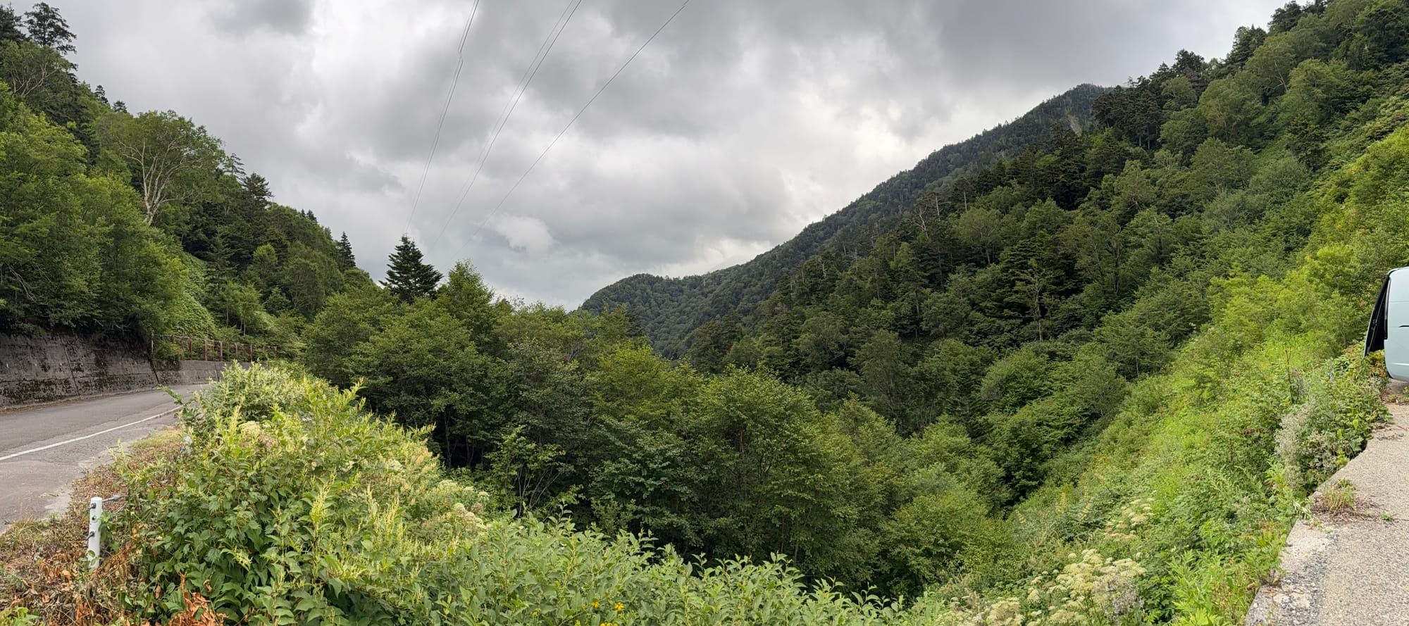 Panoramic view from Abo Pass, showing densely forested mountain valleys, roadside vegetation and dark storm clouds gathering above the Northern Japan Alps.