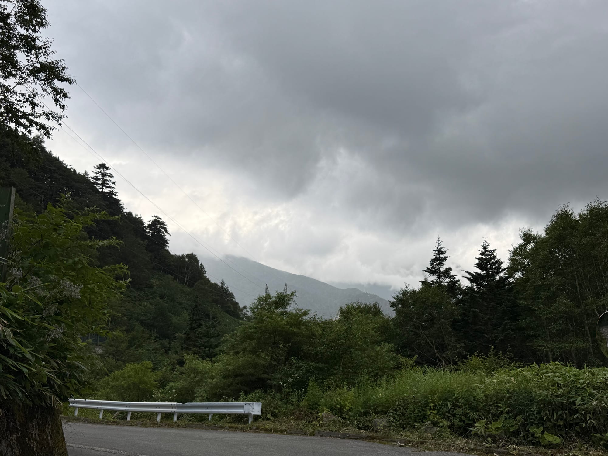 Storm clouds gathering over the mountains at Abo Pass, with forested slopes, roadside vegetation and low cloud partially obscuring the distant ridgeline.