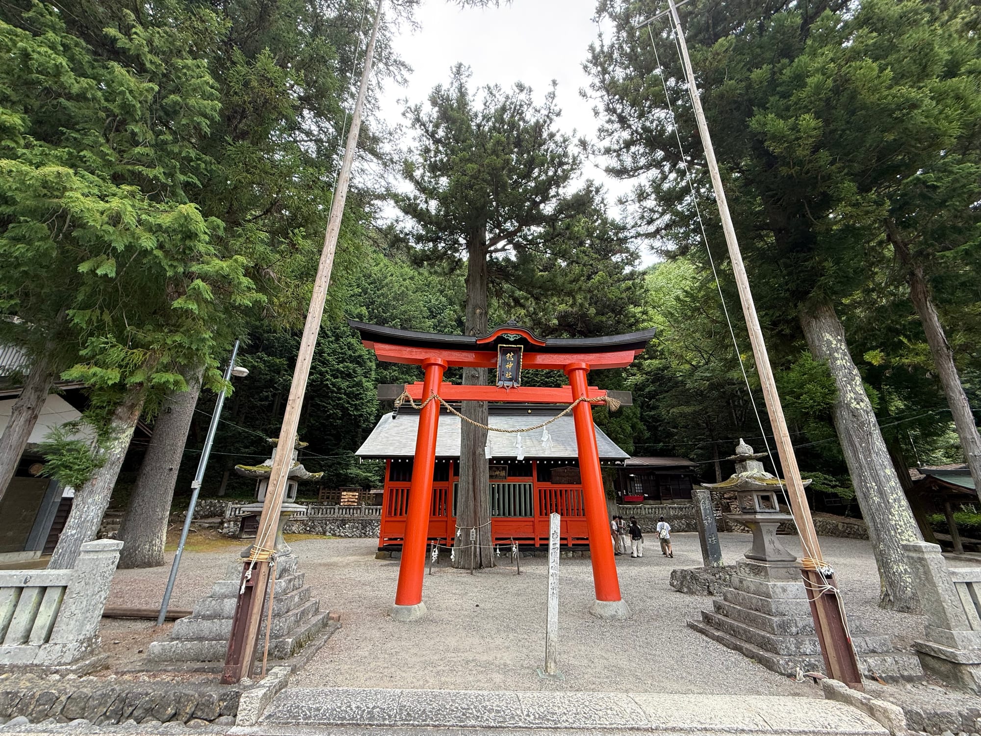 Bright red torii gate at Shizume-Kinka Shrine, standing before the shrine building and surrounded by towering cedar trees, stone lanterns and a tranquil forest setting.