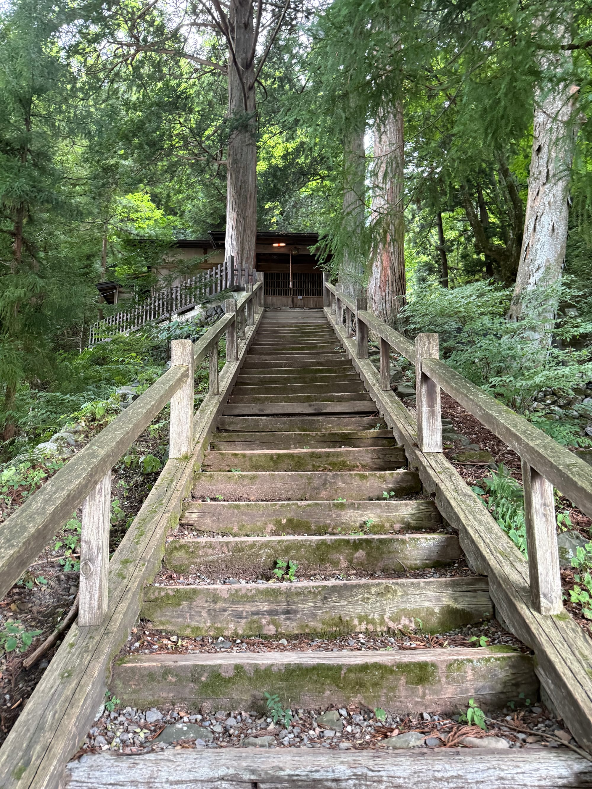 Wooden staircase leading through dense forest to a small shrine building, with moss-covered steps, tall cedar trees and a peaceful woodland setting near Narai-juku.