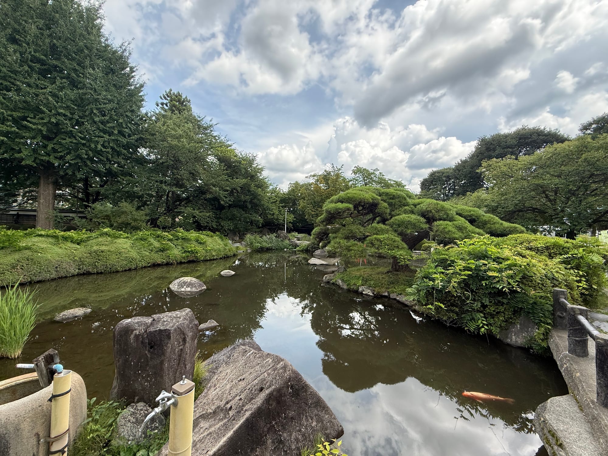 Japanese garden pond in Takashima Castle Park, featuring sculpted pine trees, large stones, a koi fish and calm water reflecting dramatic summer clouds overhead.