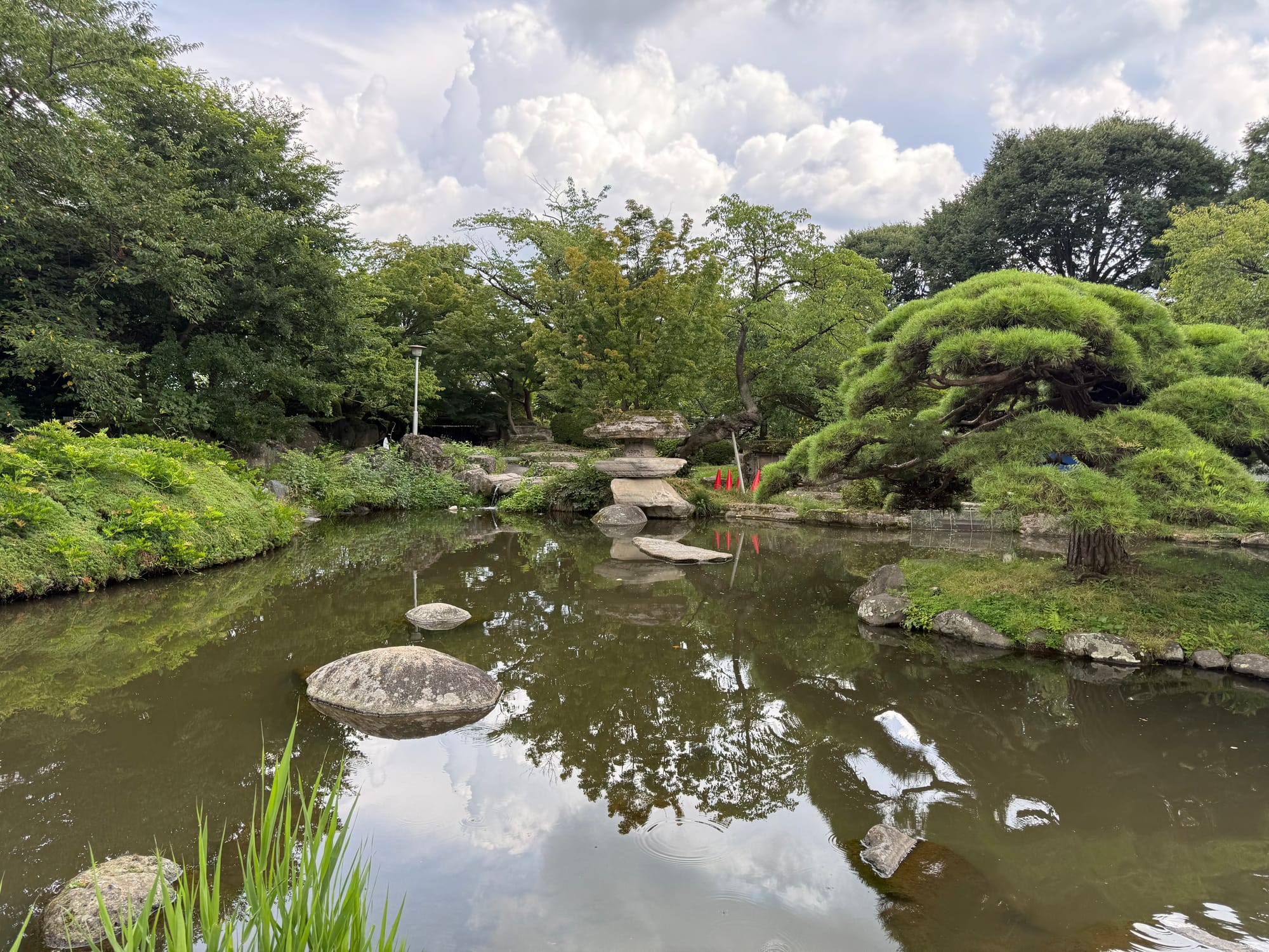 Japanese garden pond in Takashima Castle Park, featuring a stone lantern, sculpted pine tree, stepping stones and reflections of towering summer clouds on calm water.