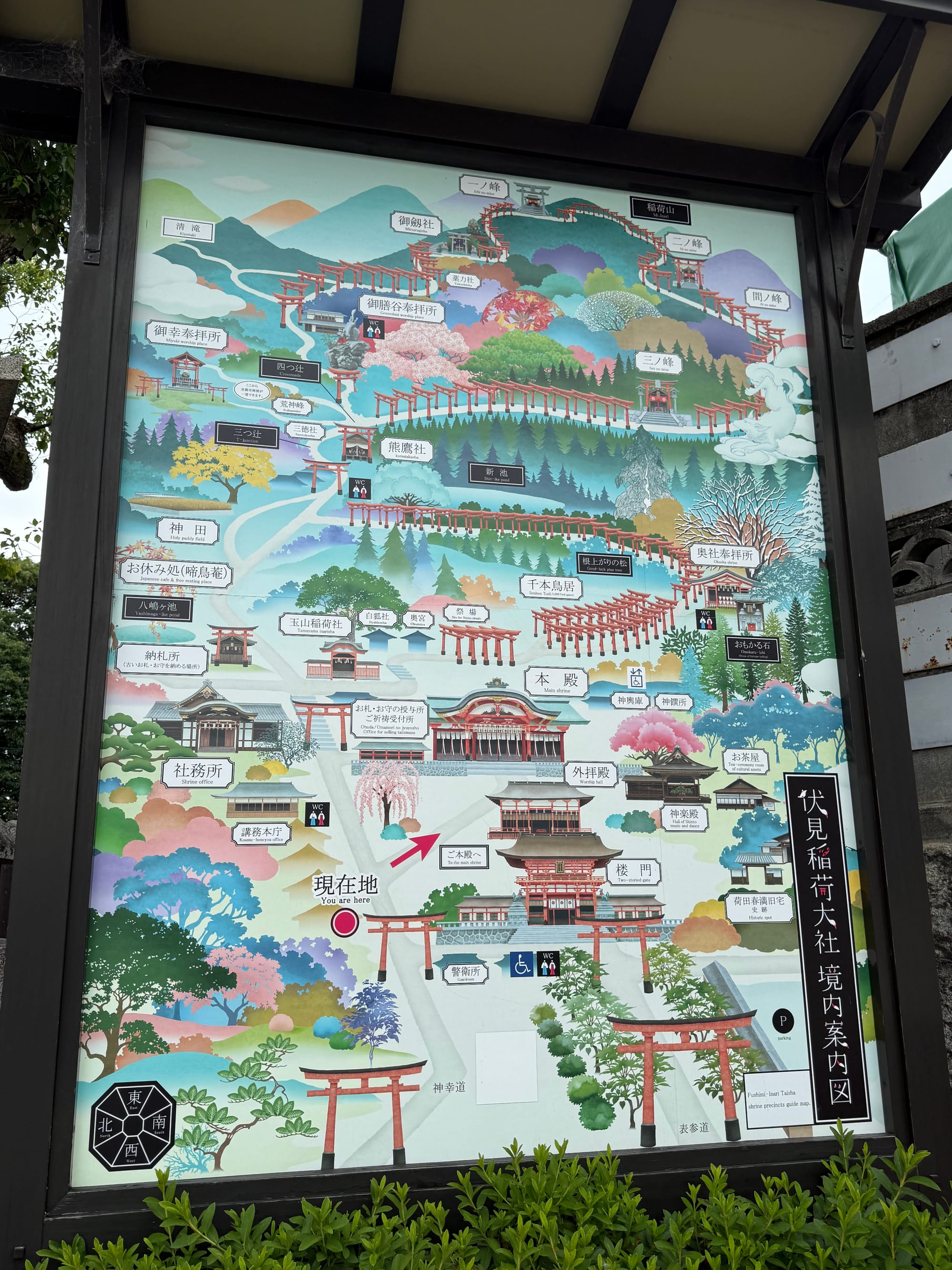 Illustrated visitor map of Fushimi Inari Taisha in Kyoto, showing the shrine buildings, torii gate trails, mountain paths, viewpoints and key landmarks across Mount Inari.