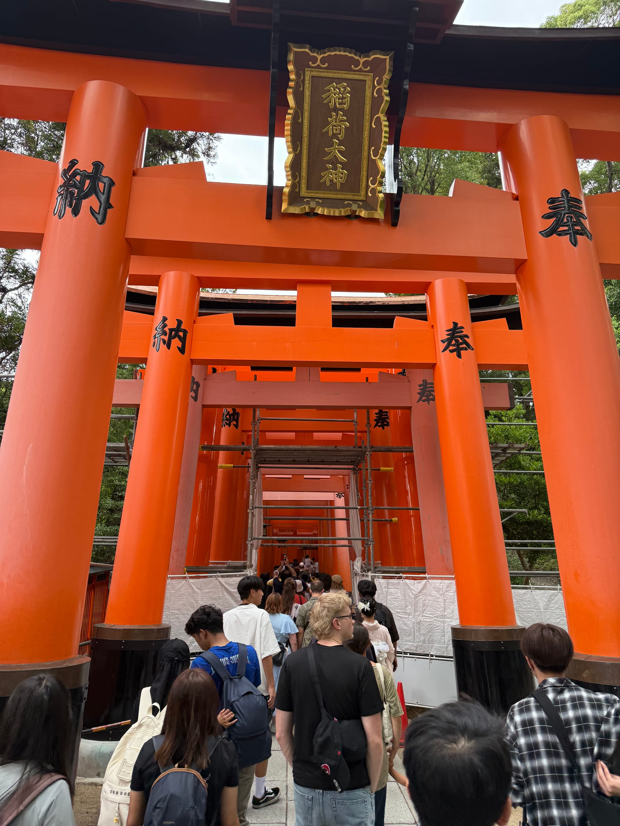 Visitors walk through the famous Senbon Torii at Fushimi Inari Taisha, passing beneath rows of vermilion torii gates, with some sections undergoing maintenance work.