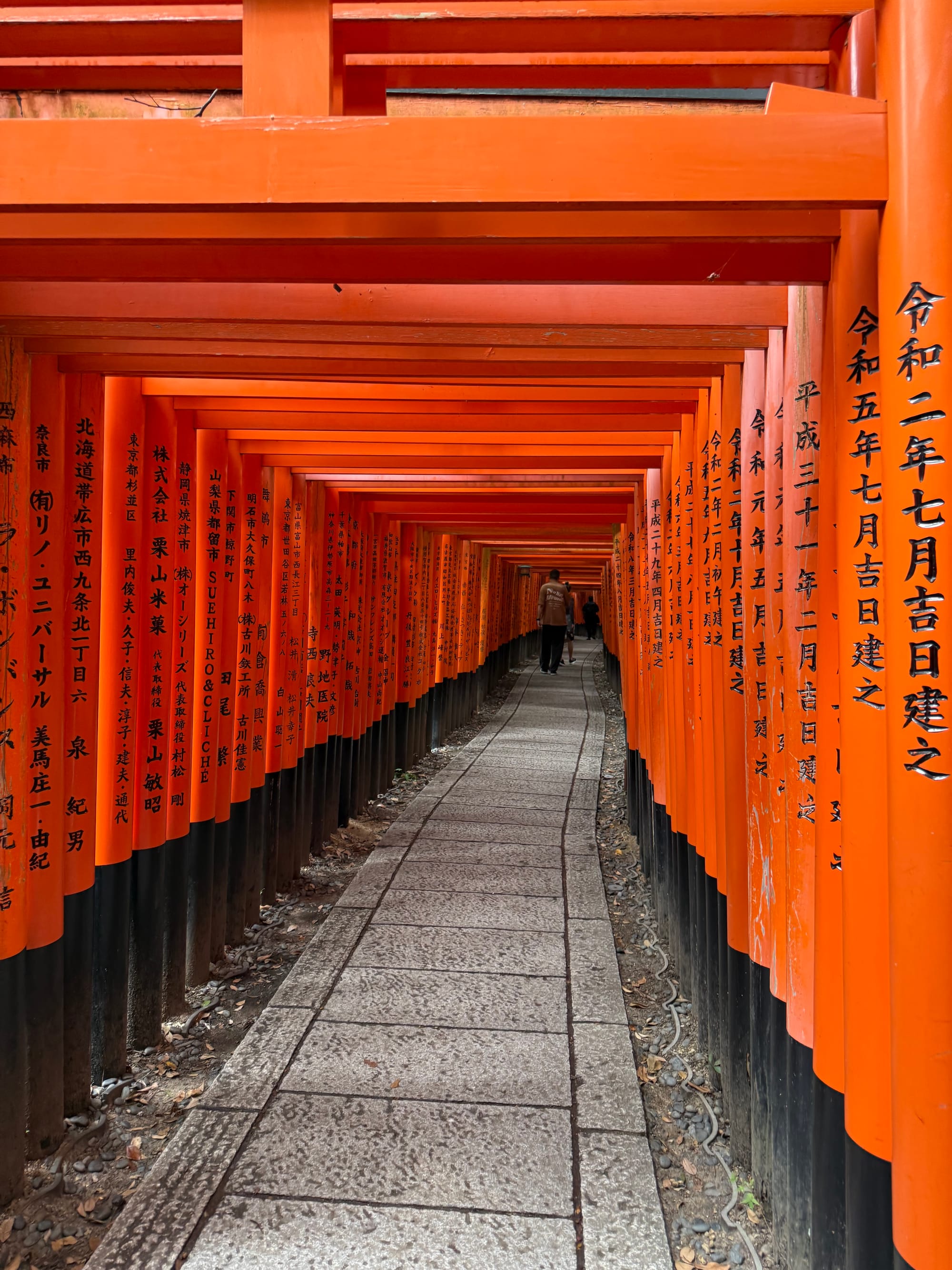 Tunnel of vermilion torii gates at Fushimi Inari Taisha, with donor inscriptions covering the pillars and a narrow stone pathway winding through the shrine grounds.