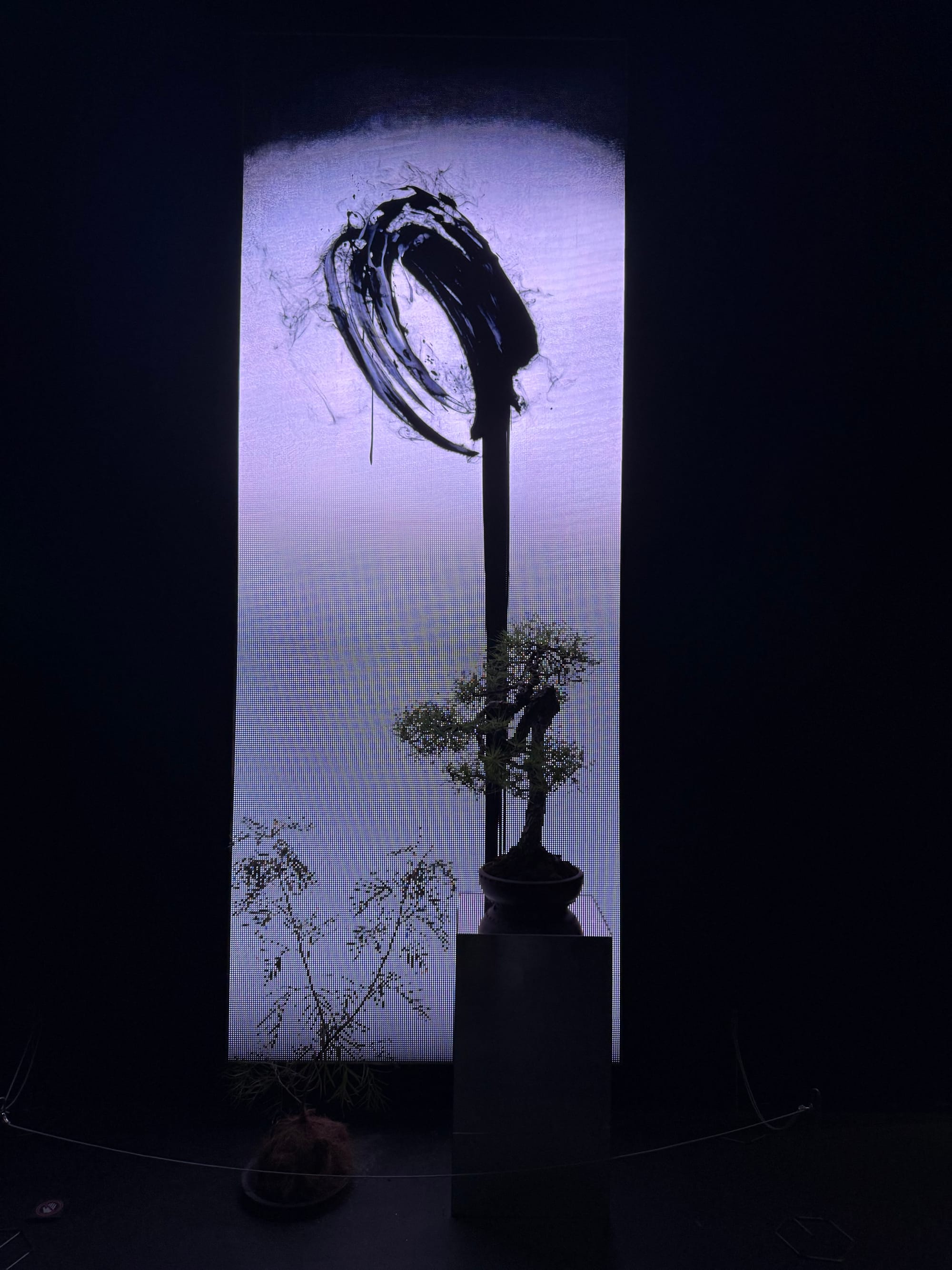 Bonsai tree displayed before a digital artwork at teamLab Biovortex Kyoto, featuring a bold black brushstroke circle on an illuminated screen within a dark gallery space.
