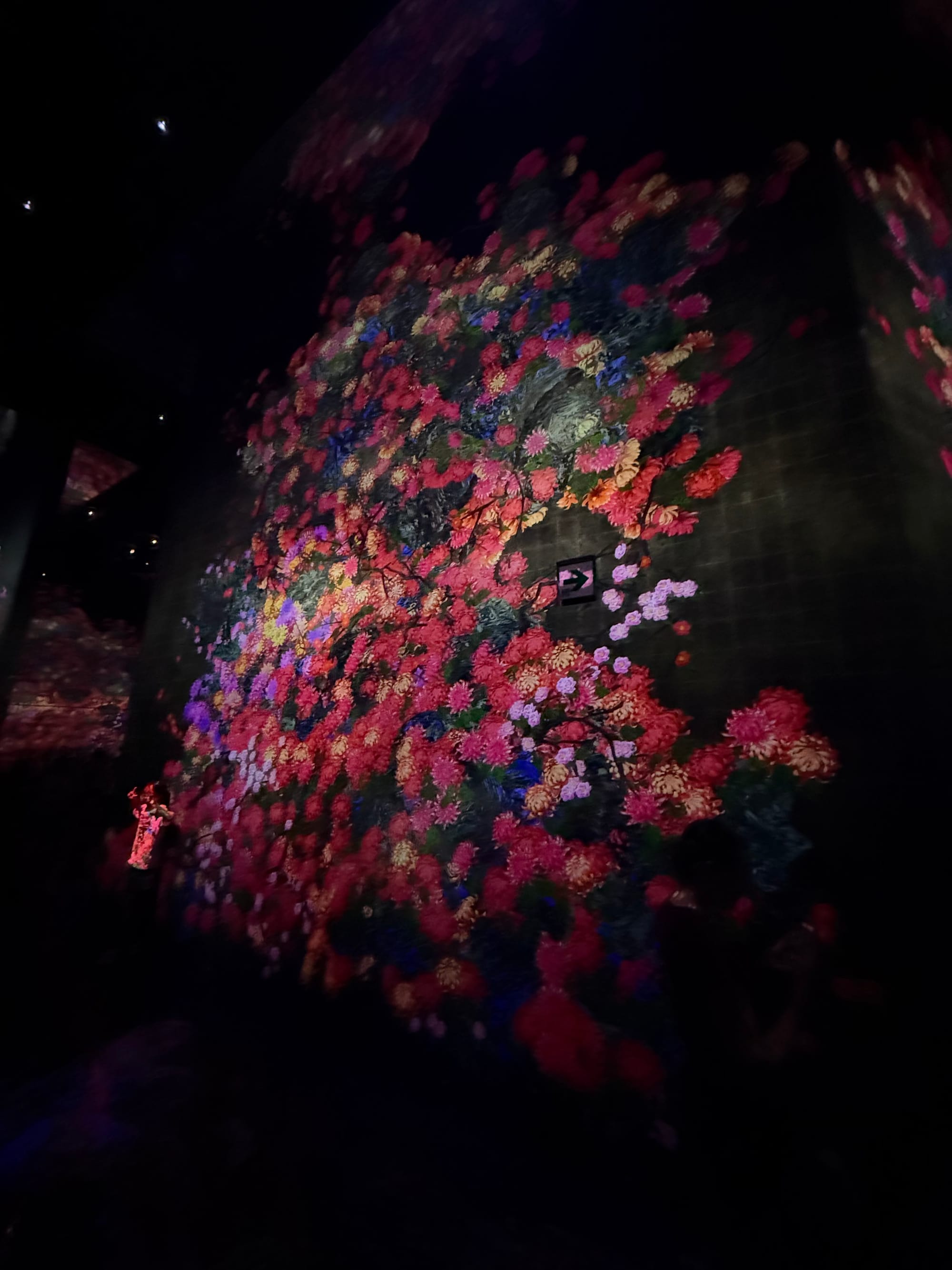 Immersive floral digital artwork at teamLab Biovortex Kyoto, with vibrant flowers blooming and drifting across dark gallery walls in shades of red, pink, purple and gold.