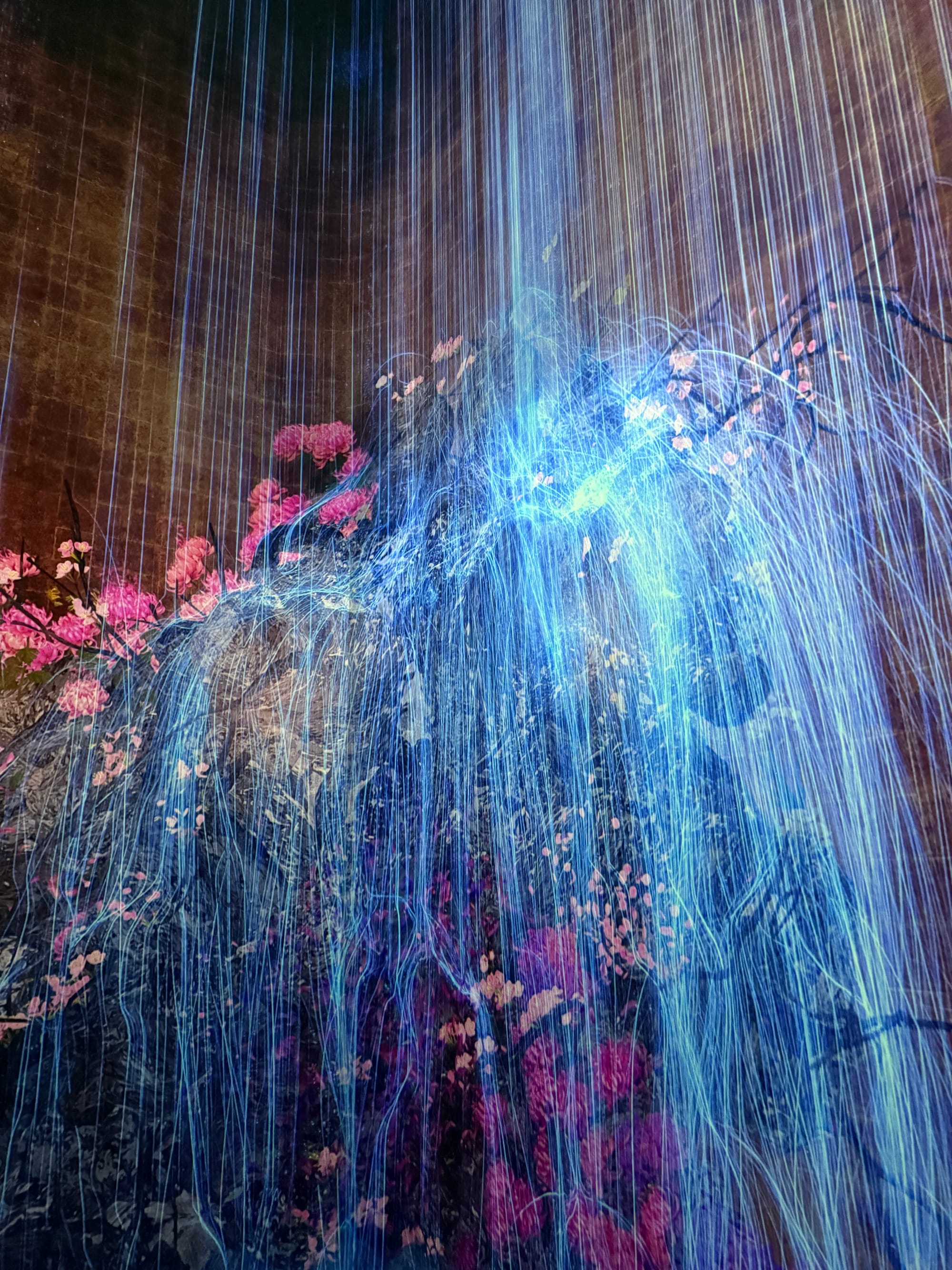 Immersive digital artwork at teamLab Biovortex Kyoto, featuring cascading blue streams of light flowing over vibrant pink blossoms and dark textured forms within a dark gallery.