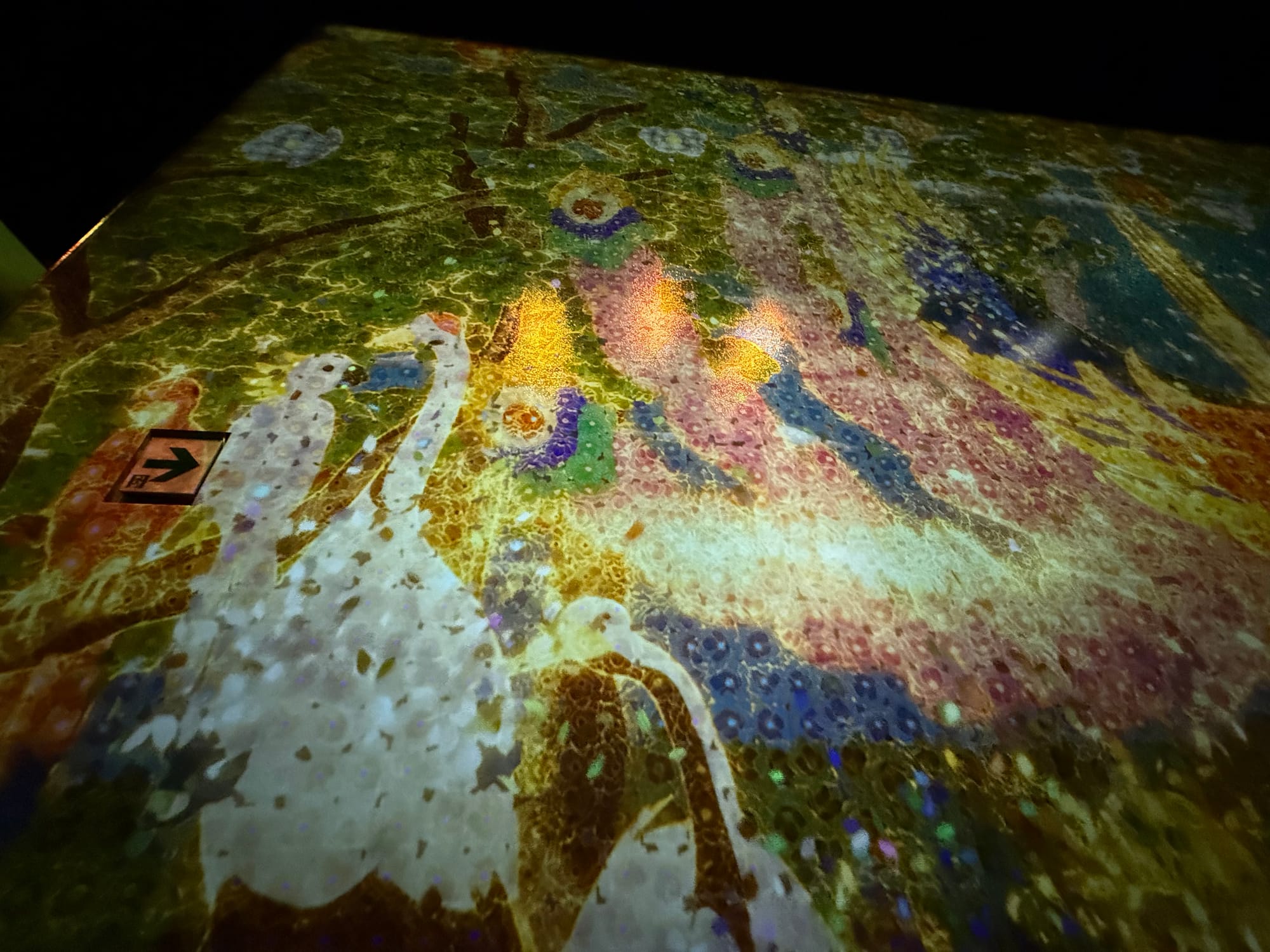 Interactive digital artwork at teamLab Future Park, featuring colourful hand-drawn sea creatures projected across a wall-sized underwater scene filled with coral, fish and marine life.
