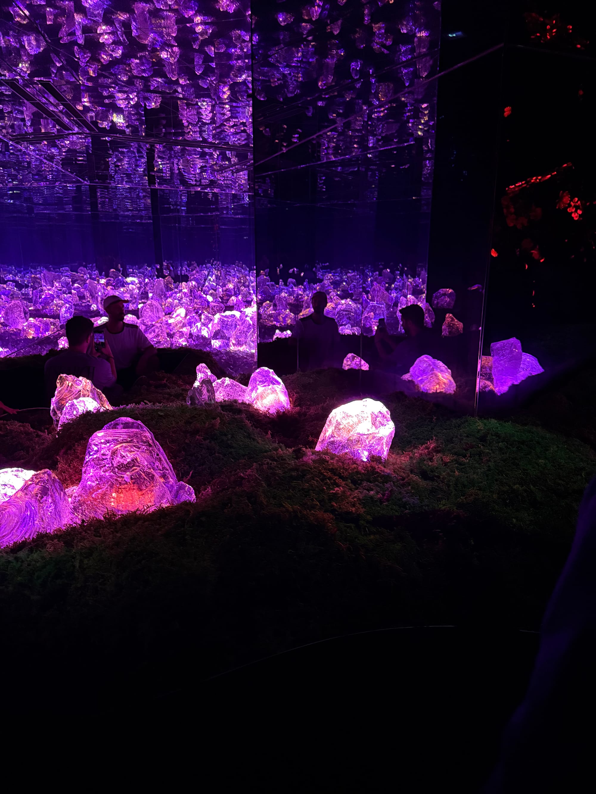 Glowing crystal-like forms illuminated in purple and pink light within a mirrored installation at teamLab Biovortex Kyoto, creating endless reflections across the dark gallery.