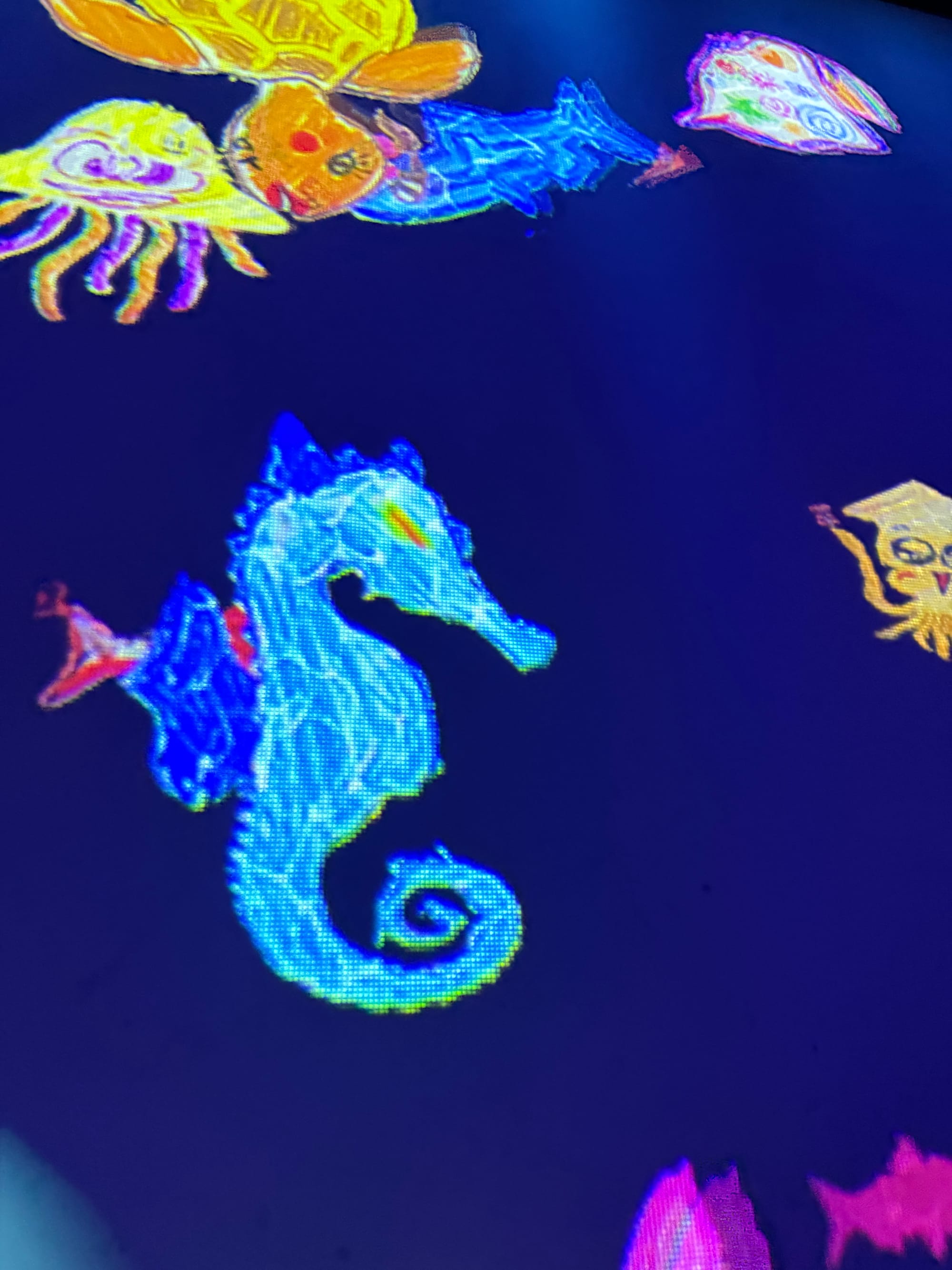 Animated version of a hand-drawn blue seahorse-like dragon swimming among colourful sea creatures in teamLab Future Park, displayed as part of an interactive digital artwork.