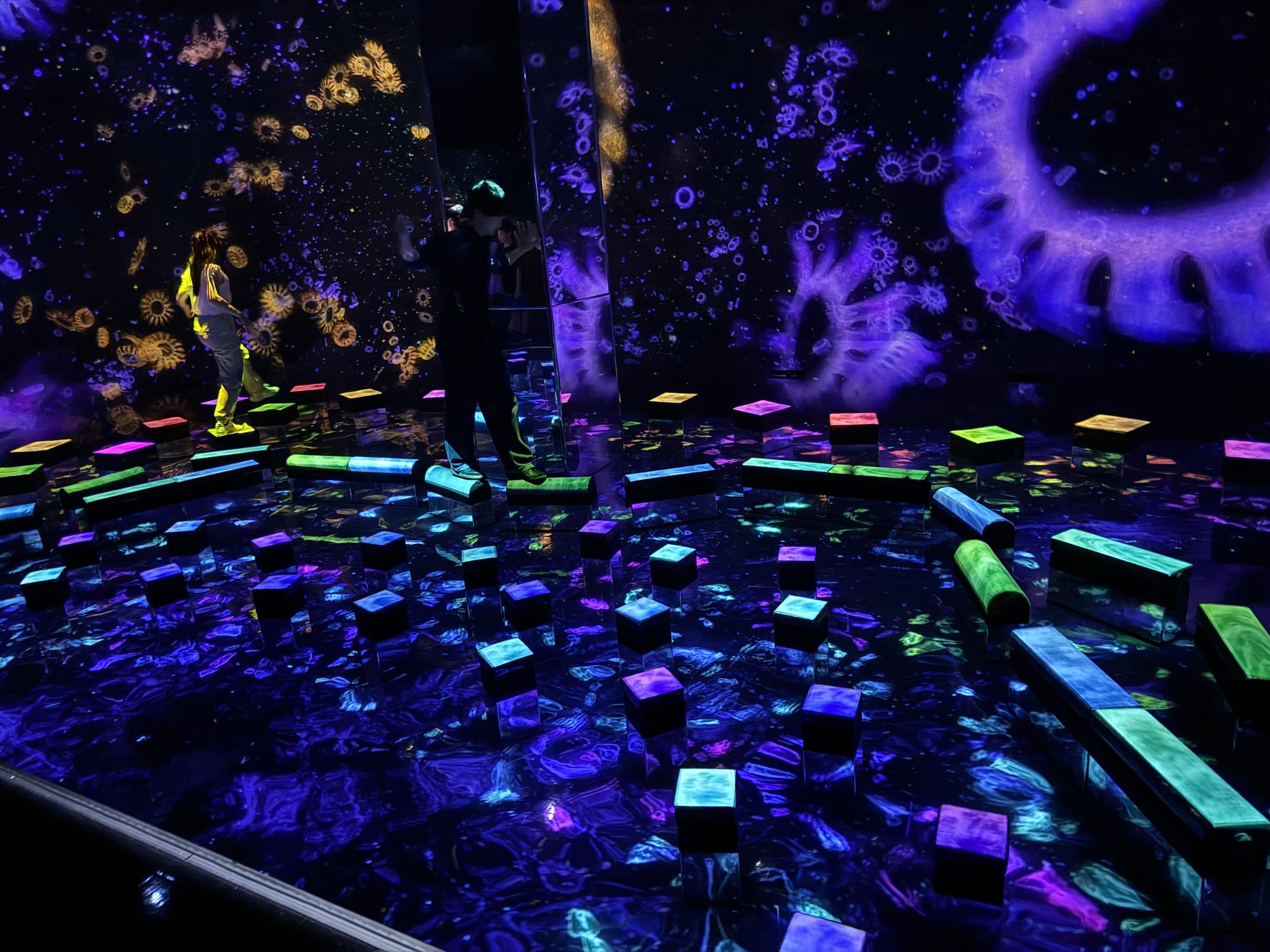 Interactive balancing playground at teamLab, featuring illuminated stepping blocks and beams set within a dark room filled with colourful projected microscopic forms.
