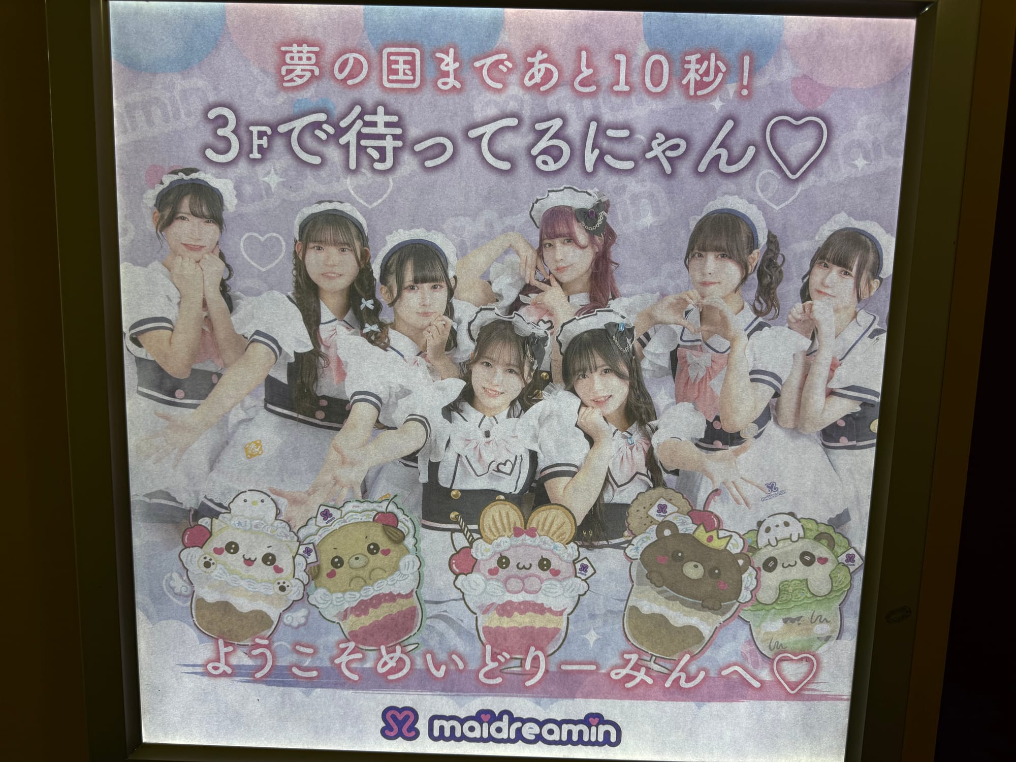 Illuminated maidreamin promotional display in Osaka's Namba district, featuring café staff in maid uniforms, pastel artwork, mascots and Japanese welcome messages.