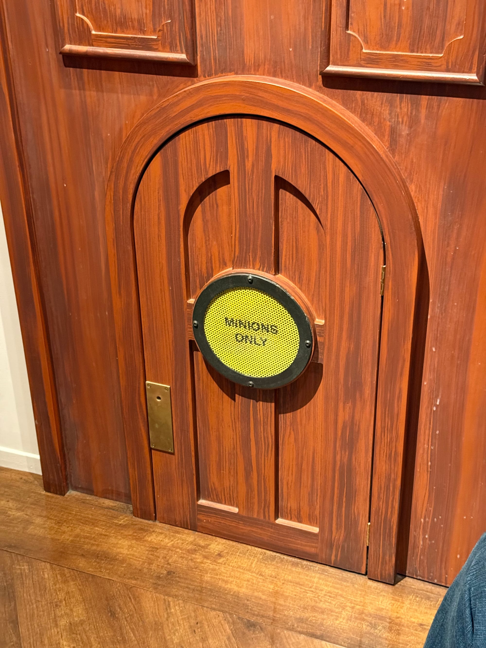 Small wooden door labelled "MINIONS ONLY" inside the queue for Despicable Me: Minion Mayhem at Universal Studios Japan, built into a wall at Minion height.